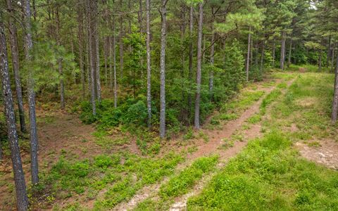 Tiny photo for Lot 2045 Constellation Court, Guild, TN 37340 (MLS # 1518130)