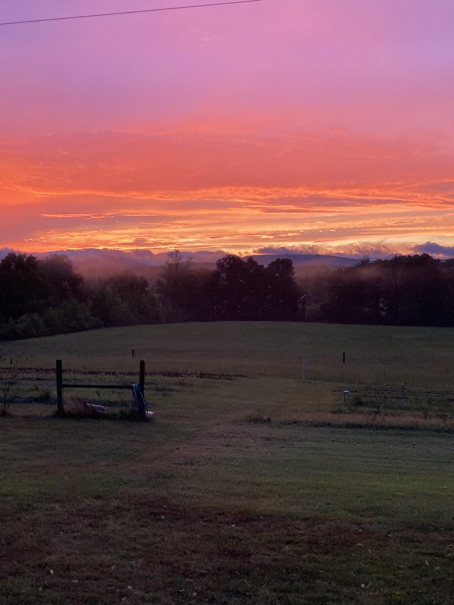 517 Possum Trot Road