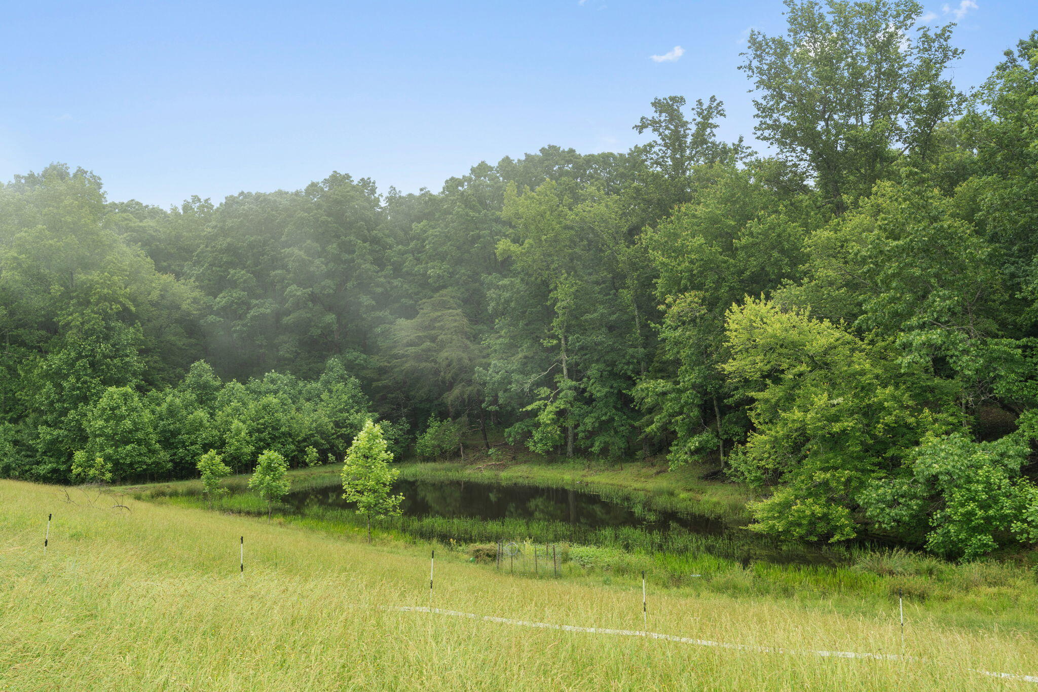 517 Possum Trot Road