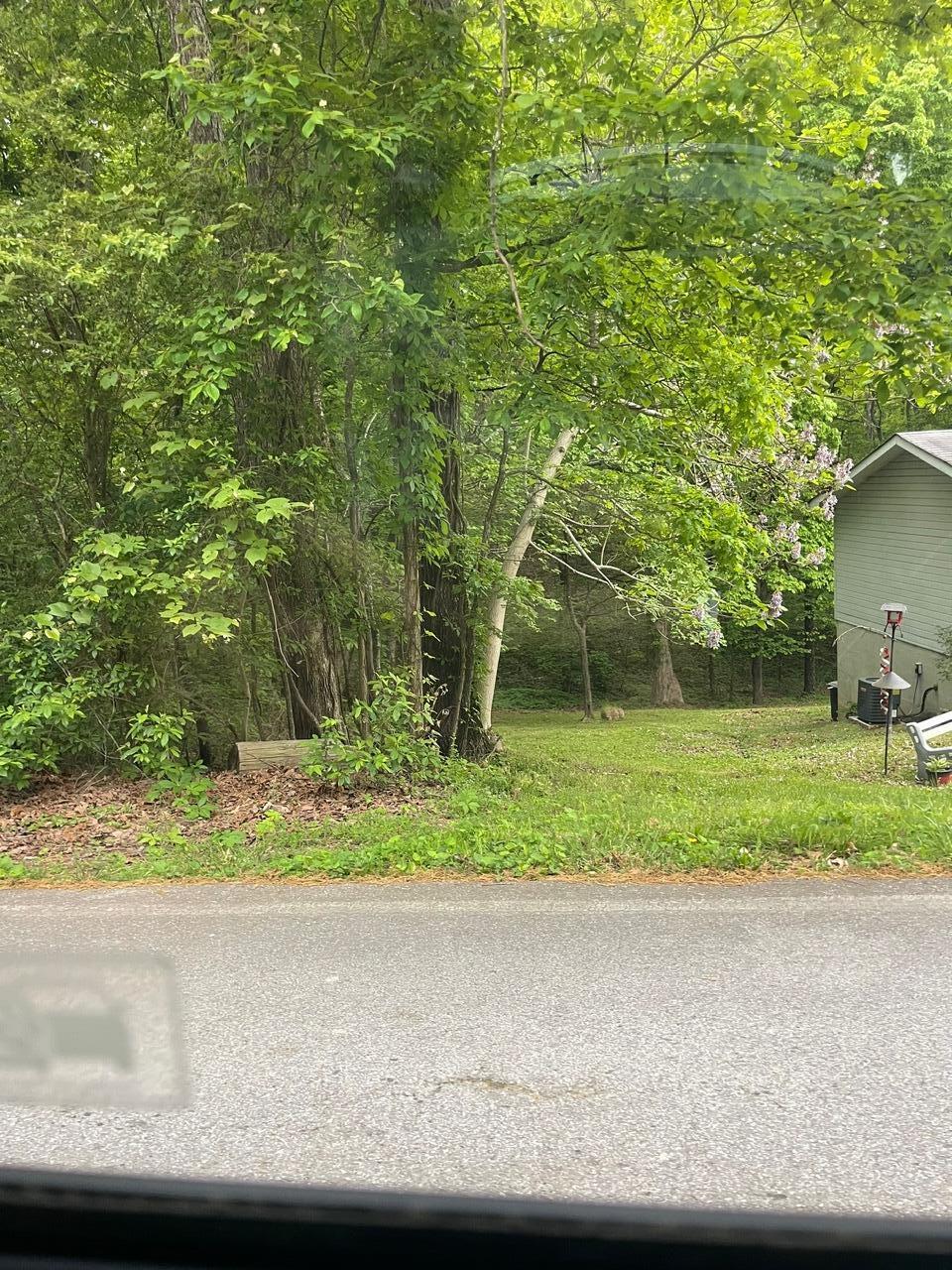 Lot 12 Smith Morgan Road, Soddy Daisy, Tennessee image 3
