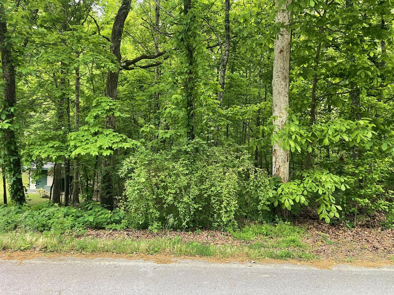 Lot 12 Smith Morgan Road, Soddy Daisy, Tennessee image 1