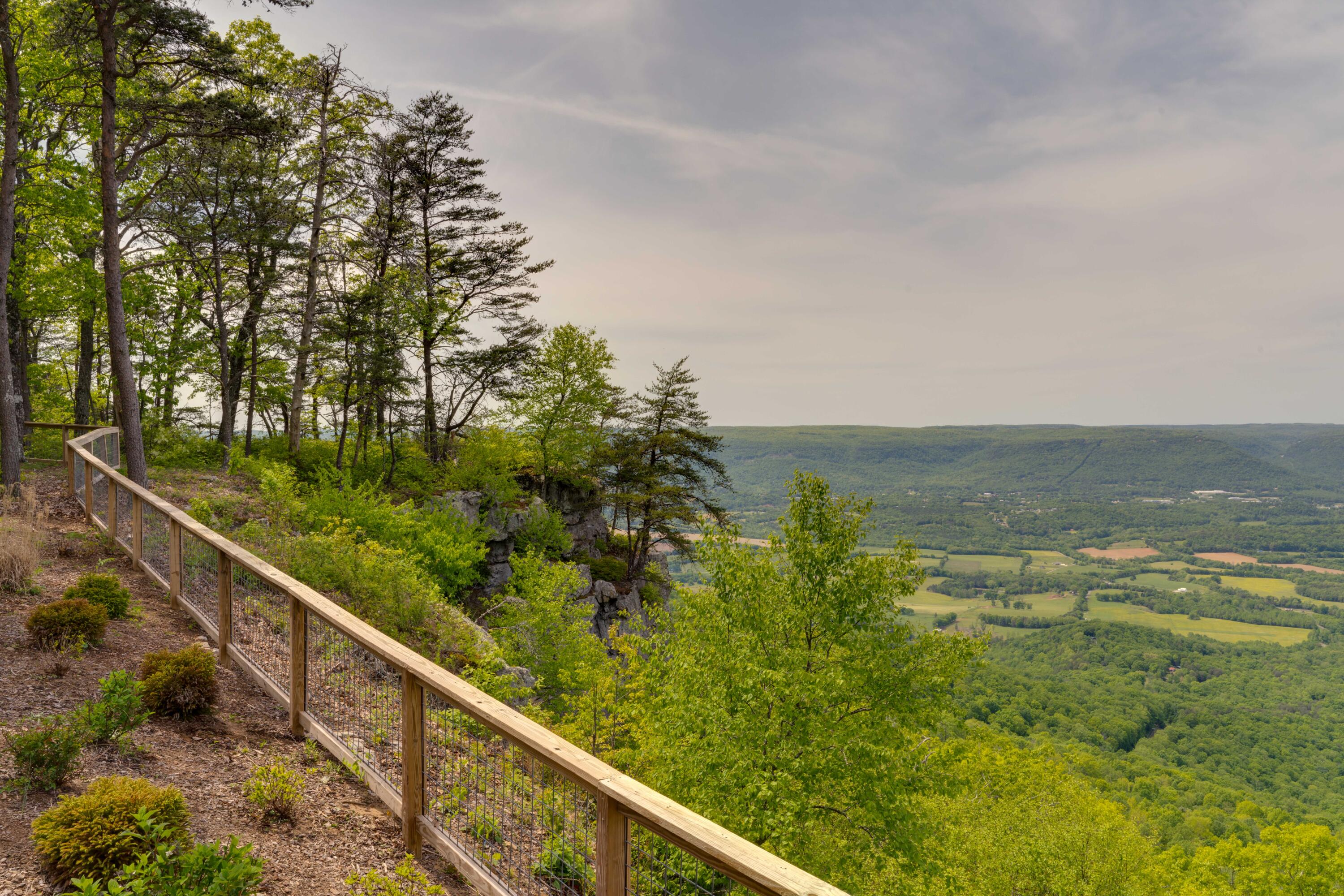 1004 Window Rock Road, Dunlap, Tennessee image 27