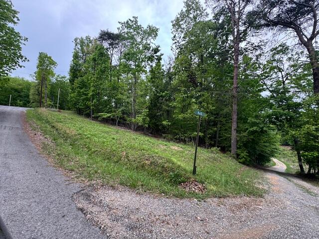 Maple Drive, Spring City, Tennessee image 4