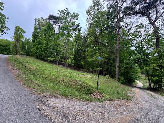 Maple Drive, Spring City, Tennessee image 5