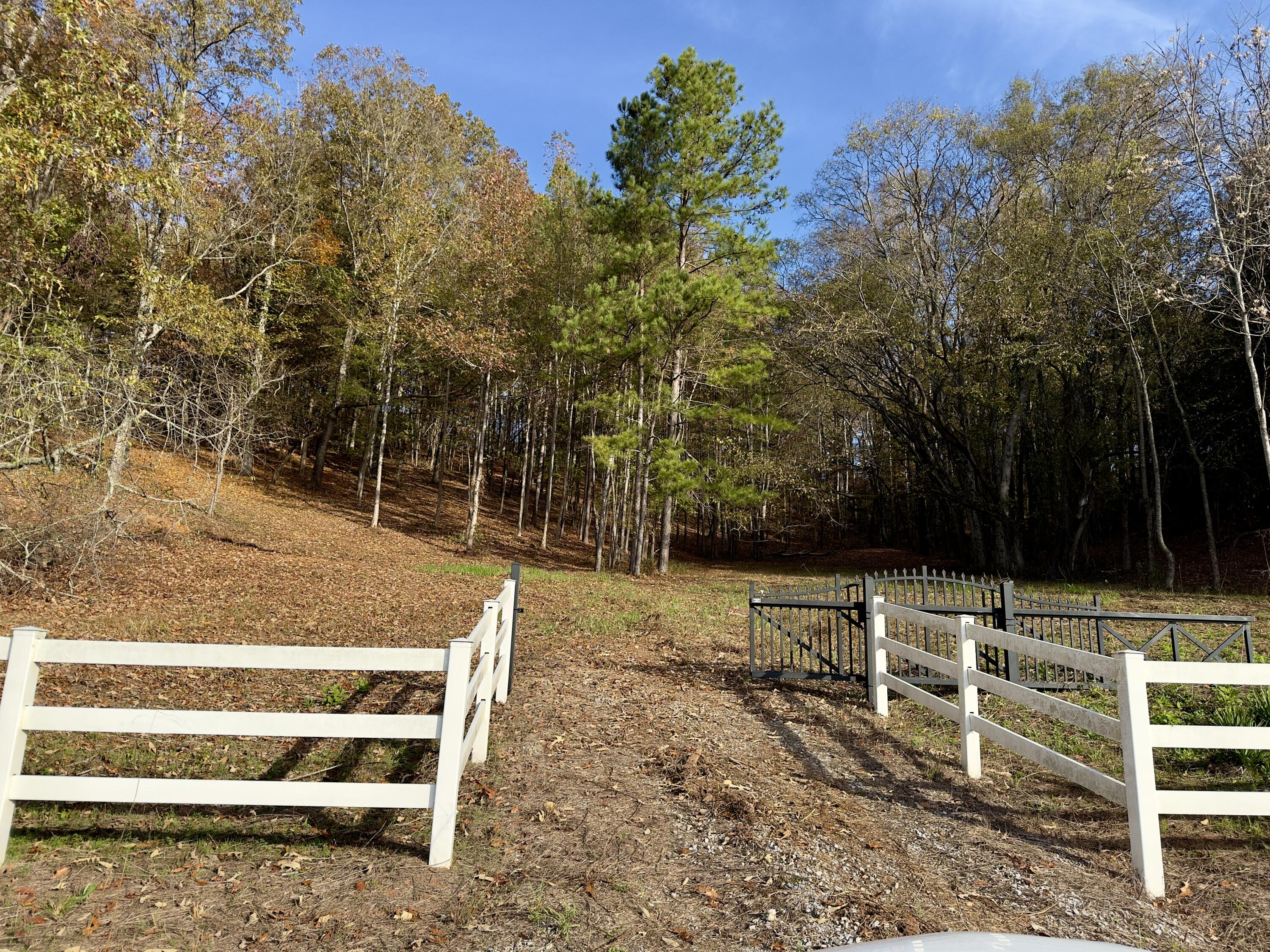 00 Cottonport Road #LOT 01, Decatur, Tennessee image 4