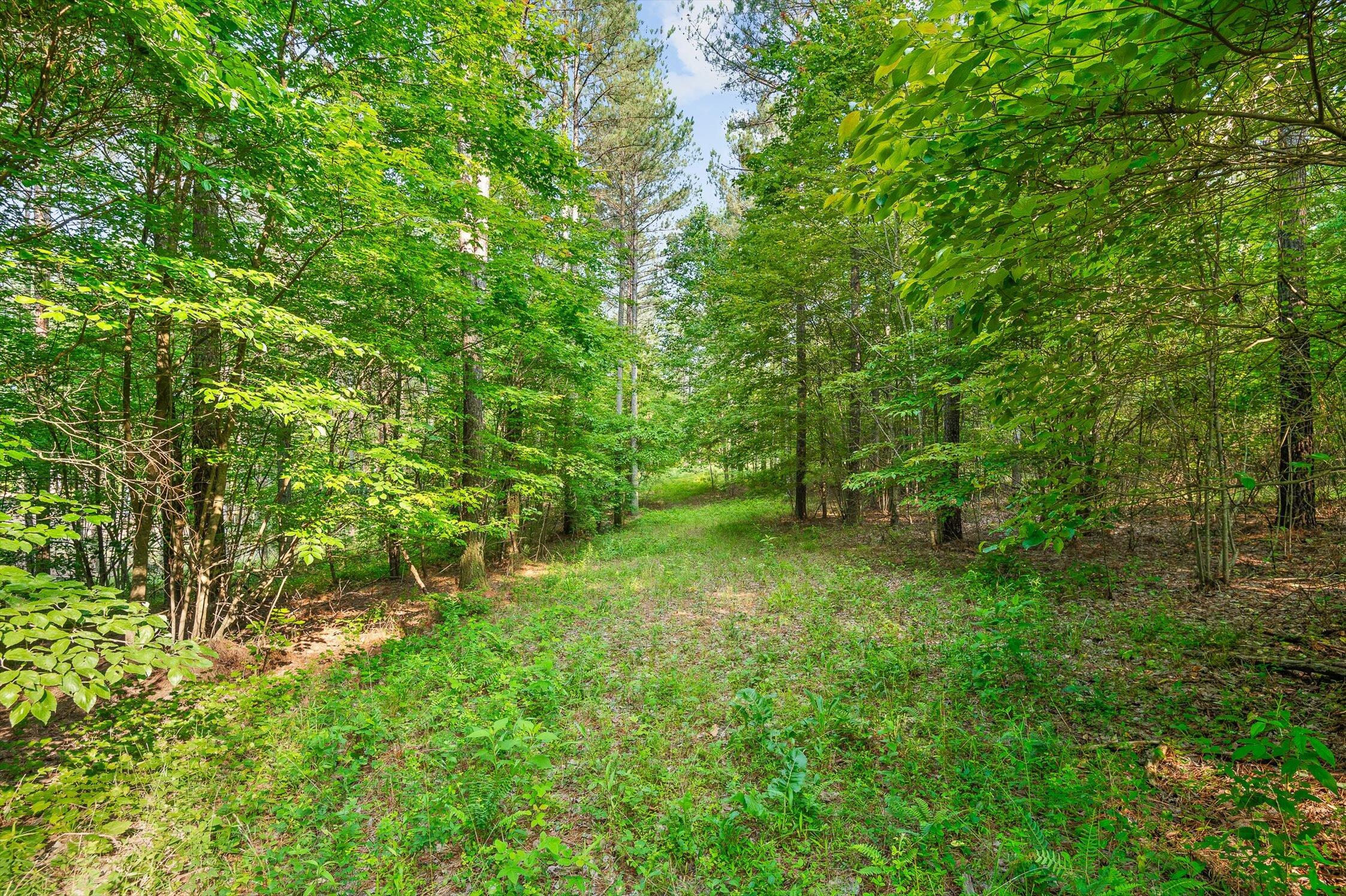 Split Rail Way #1121, Guild, Tennessee image 8