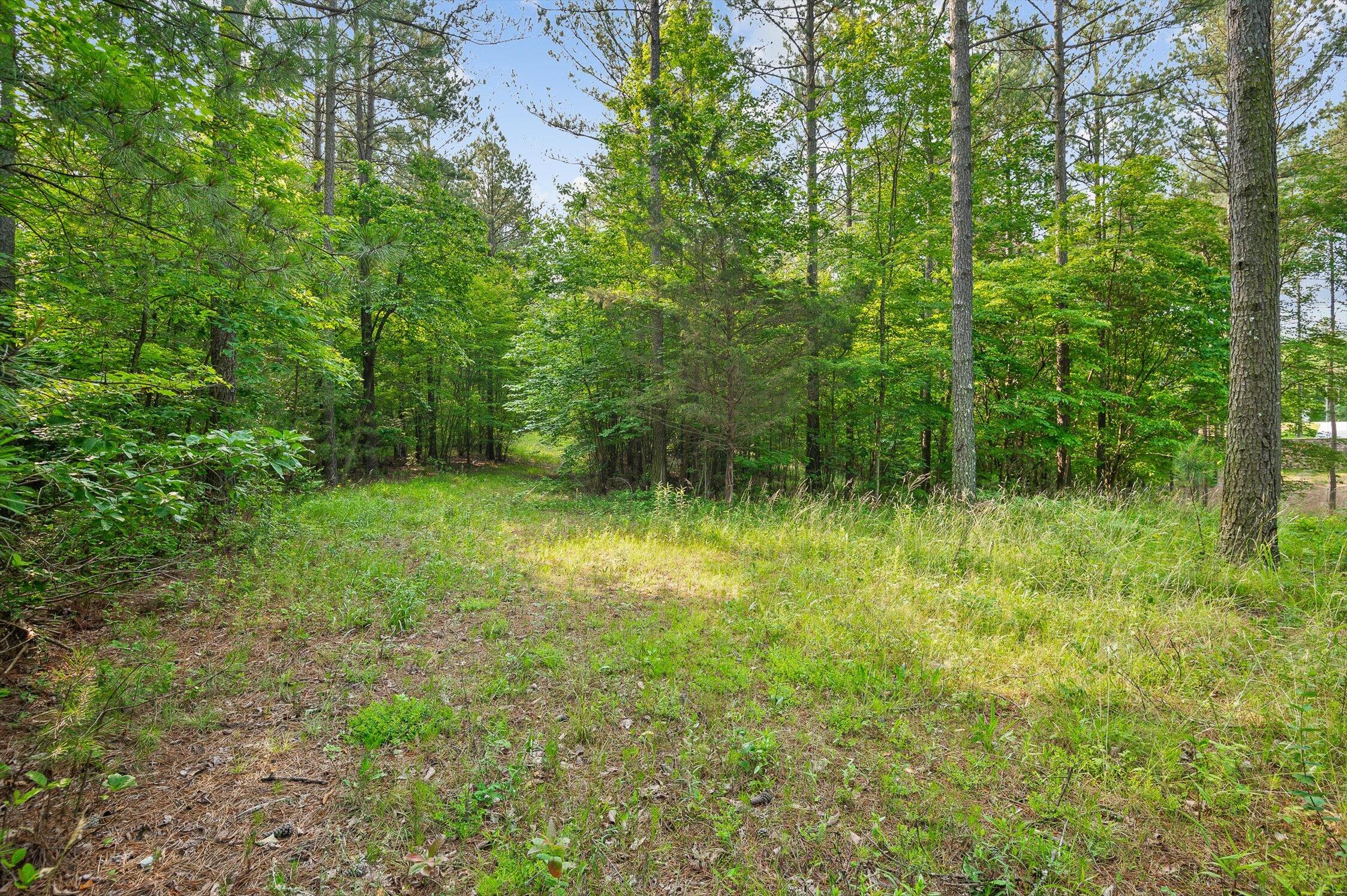 Split Rail Way #1121, Guild, Tennessee image 1