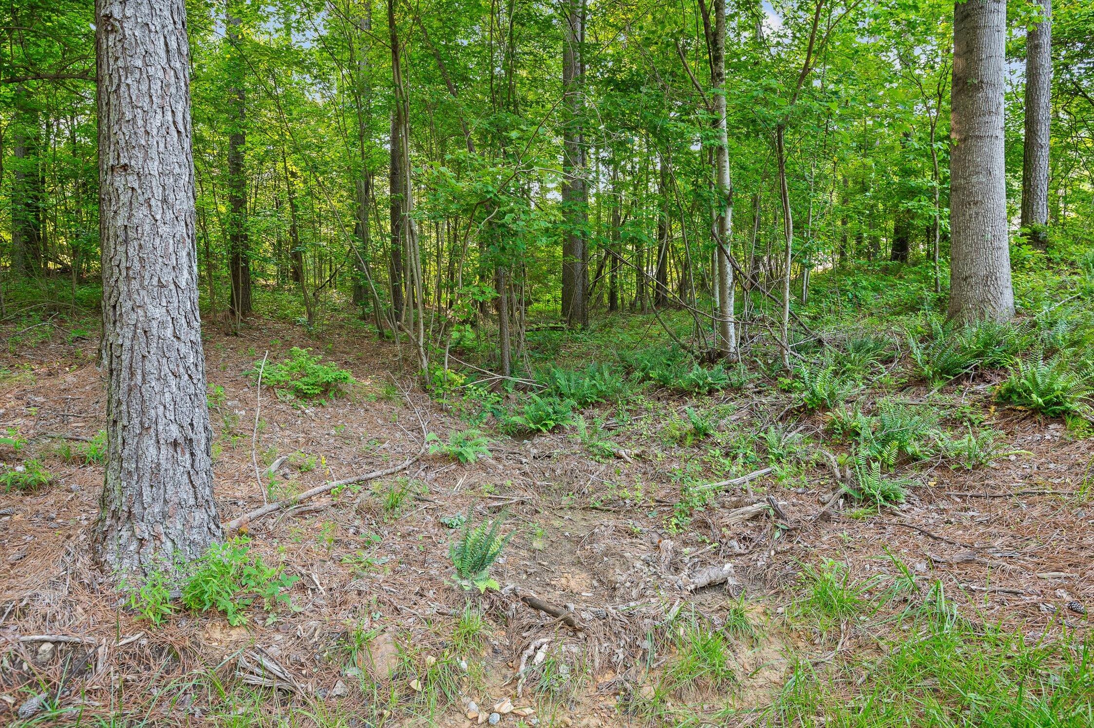 Split Rail Way #1121, Guild, Tennessee image 6
