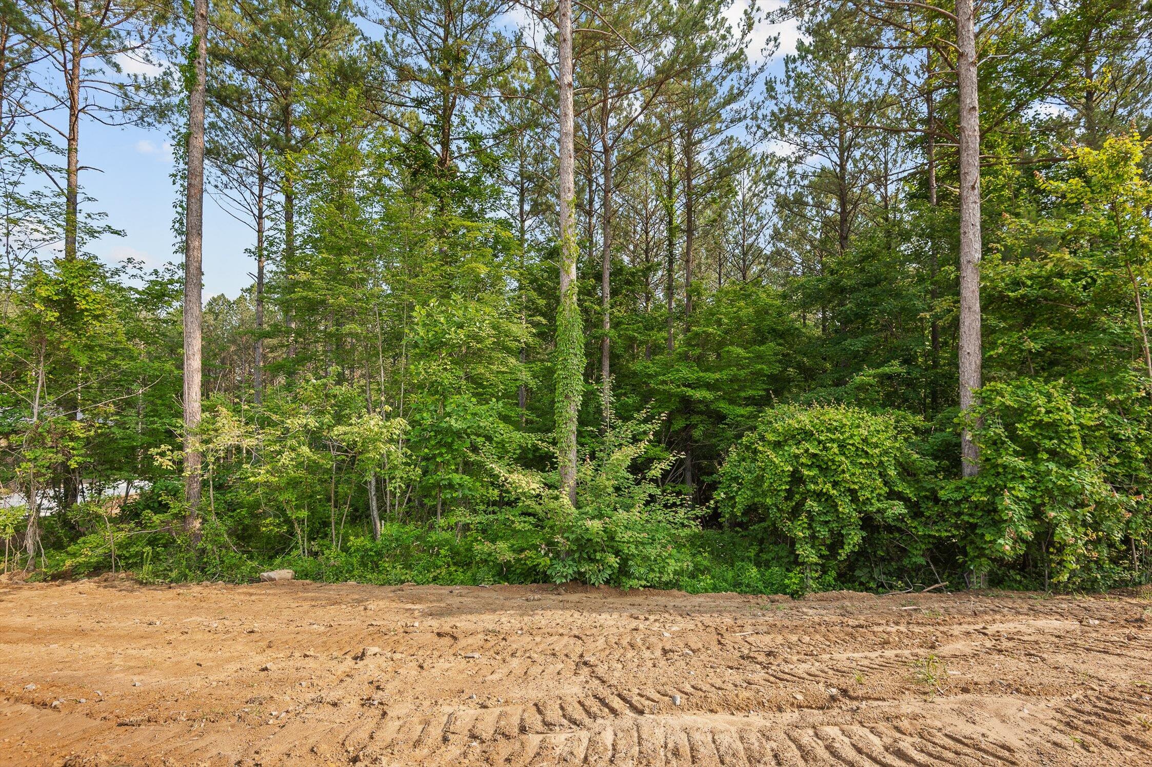 Split Rail Way #1121, Guild, Tennessee image 12