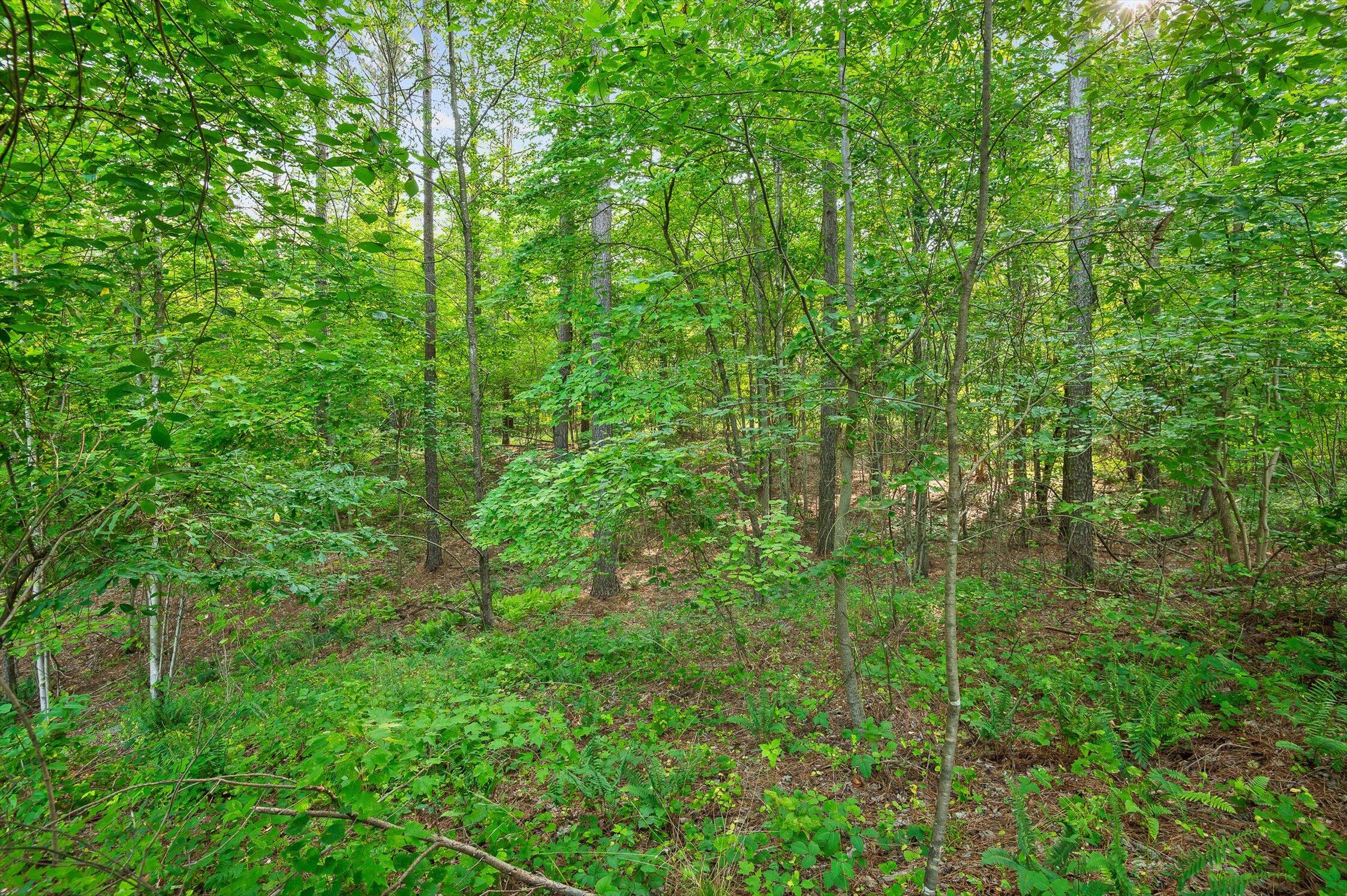 Split Rail Way #1121, Guild, Tennessee image 9