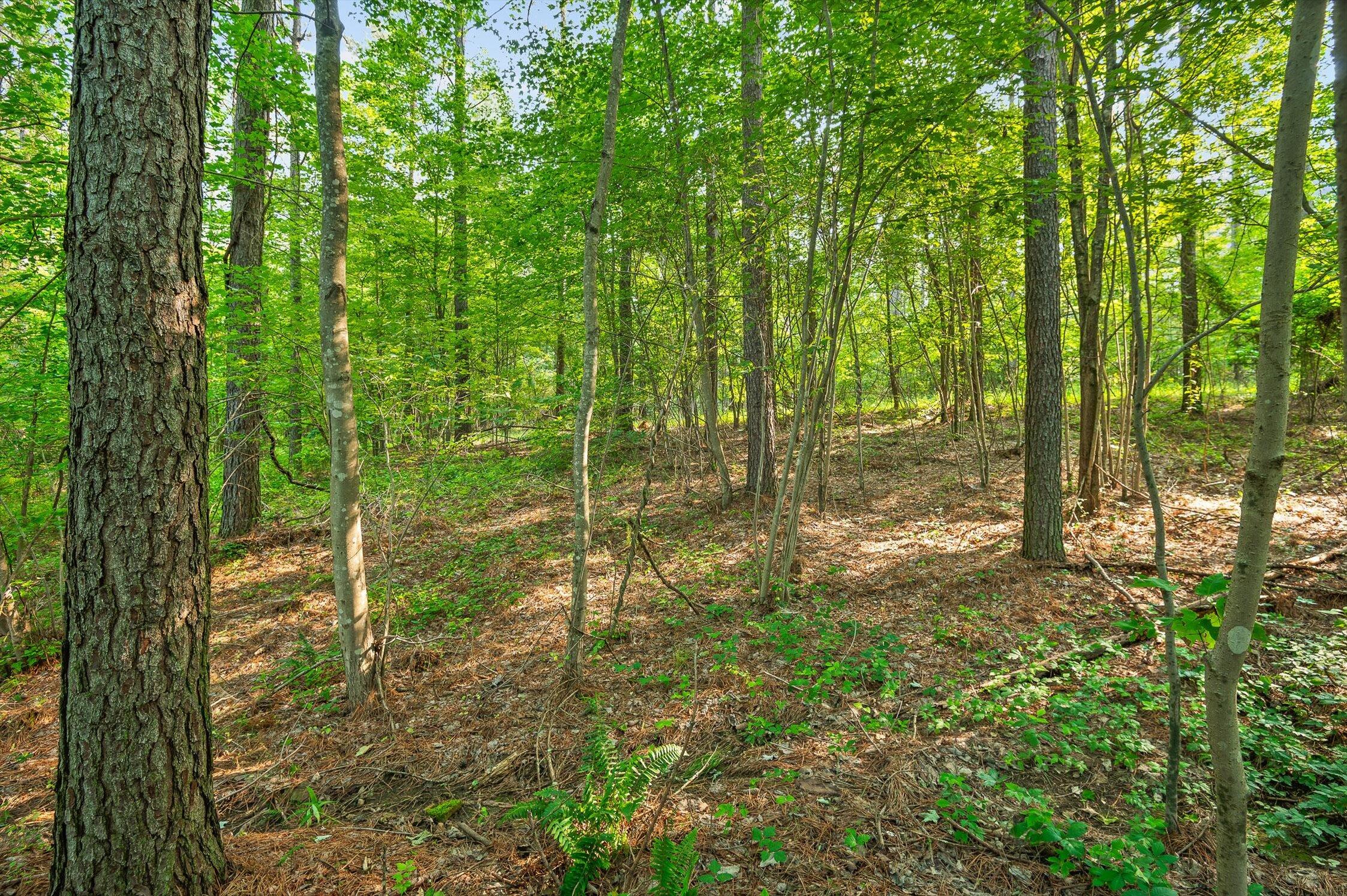 Split Rail Way #1121, Guild, Tennessee image 4