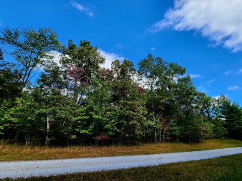 Photo of 0 Deer Run, Spencer, TN 38585 (MLS # 1521800)
