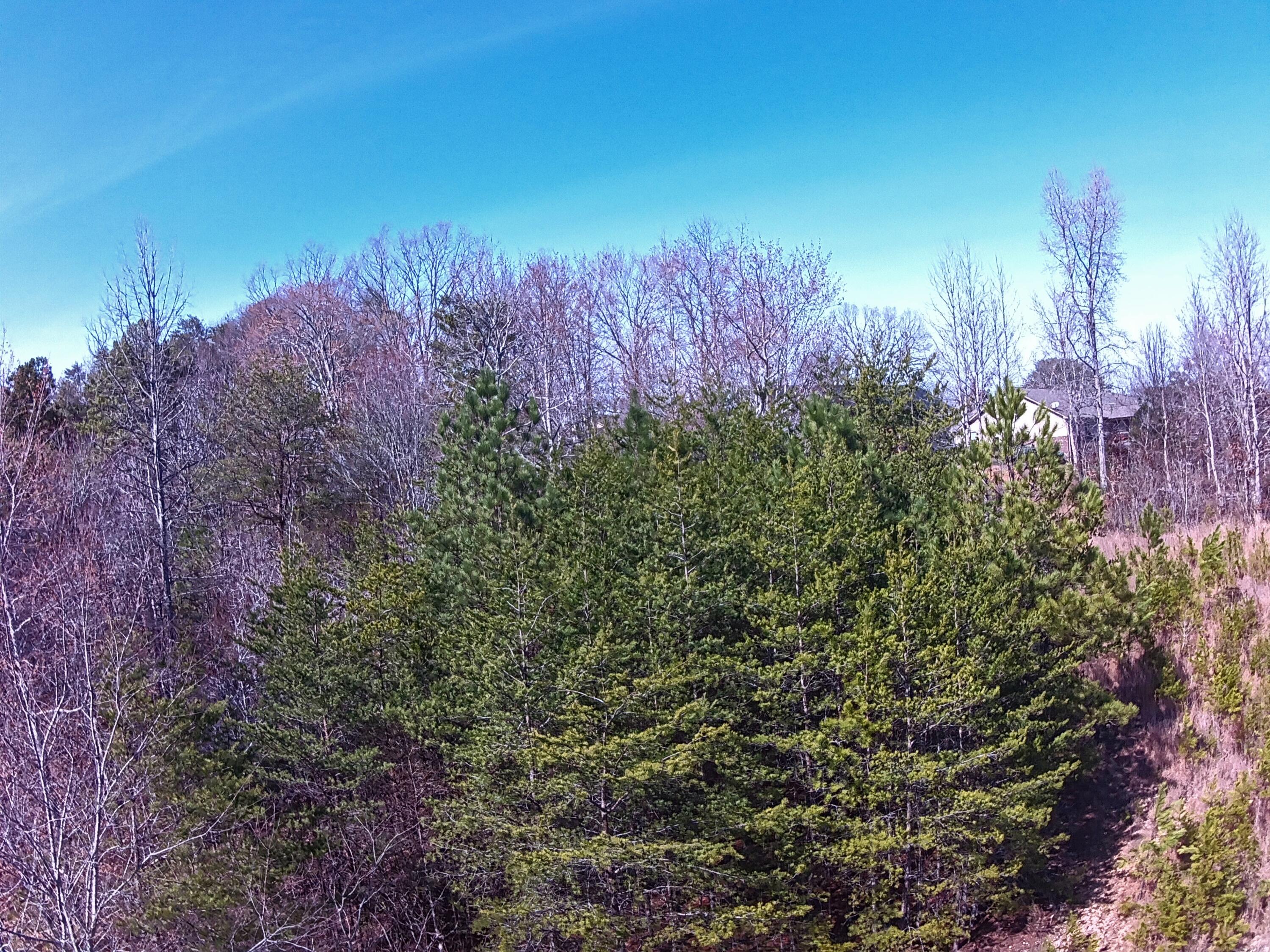 Nicole Drive #21A, Dayton, Tennessee image 7