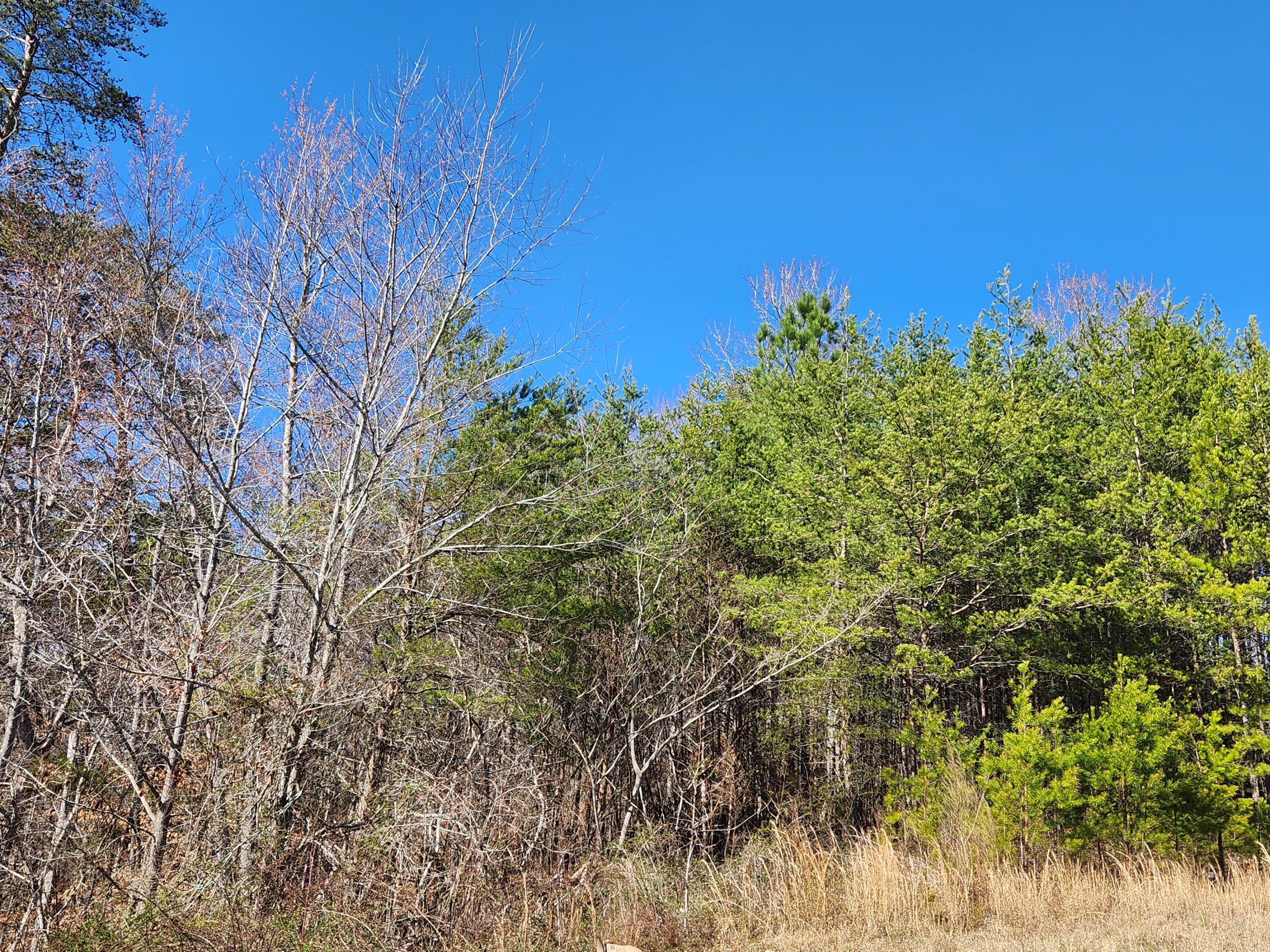 Nicole Drive #21A, Dayton, Tennessee image 1