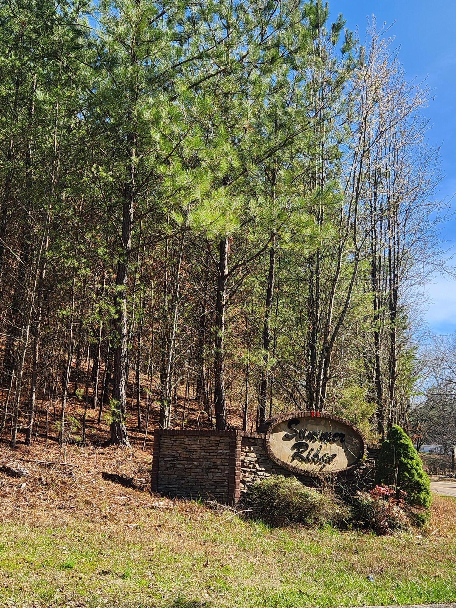 Nicole Drive #21A, Dayton, Tennessee image 9