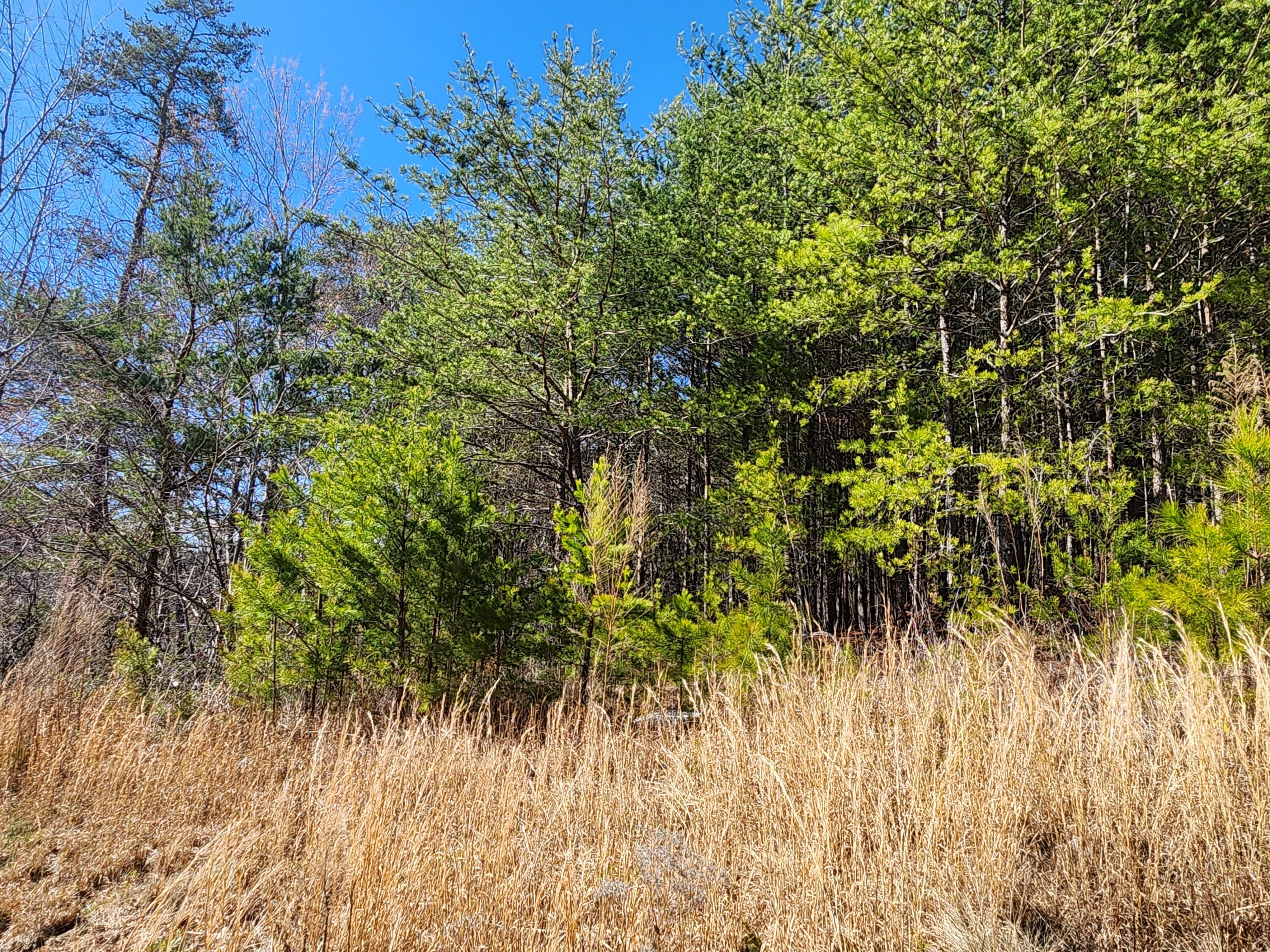 Nicole Drive #21A, Dayton, Tennessee image 3