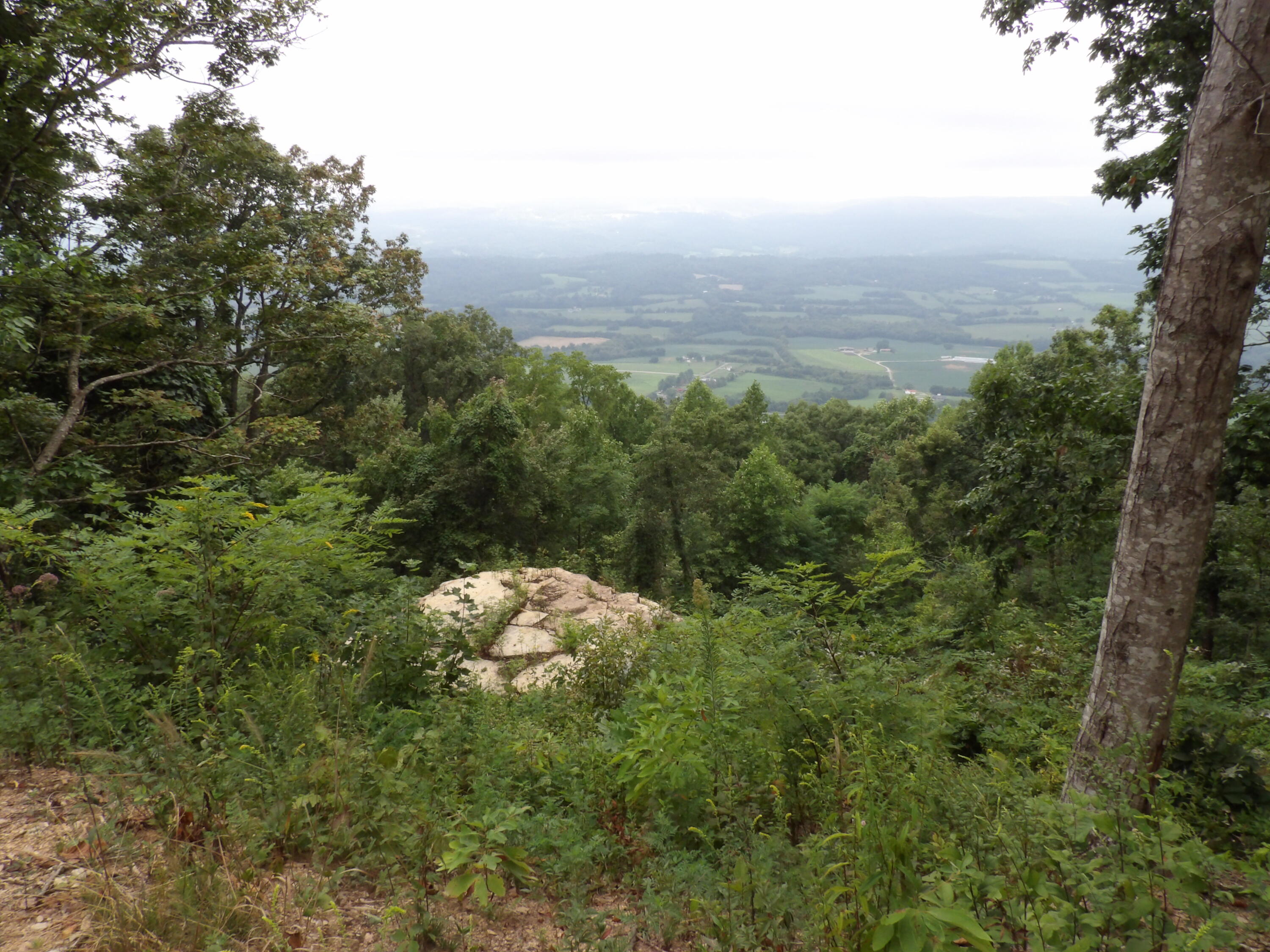 000 Porch Rock Road, Pikeville, Tennessee image 39