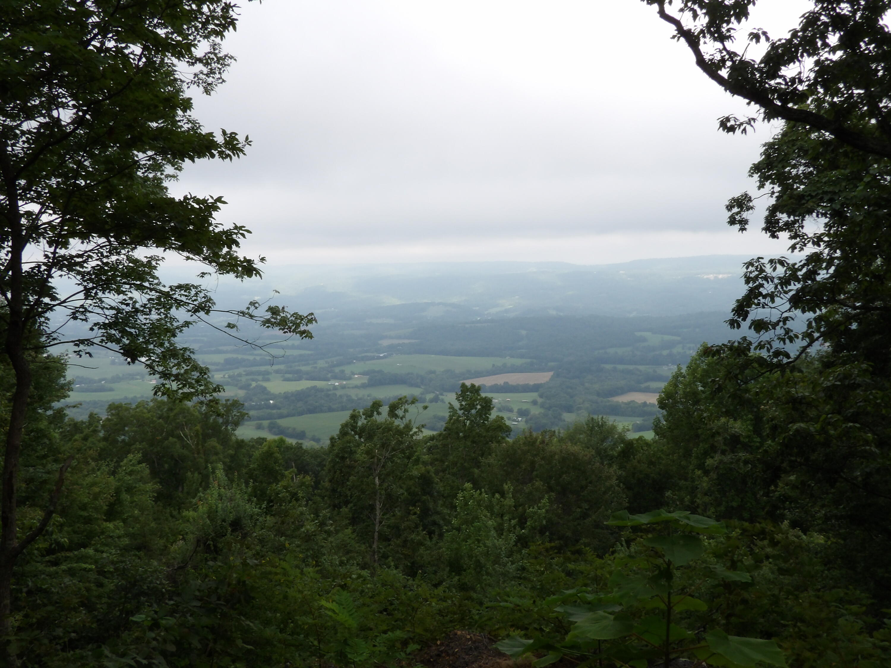 000 Porch Rock Road, Pikeville, Tennessee image 13