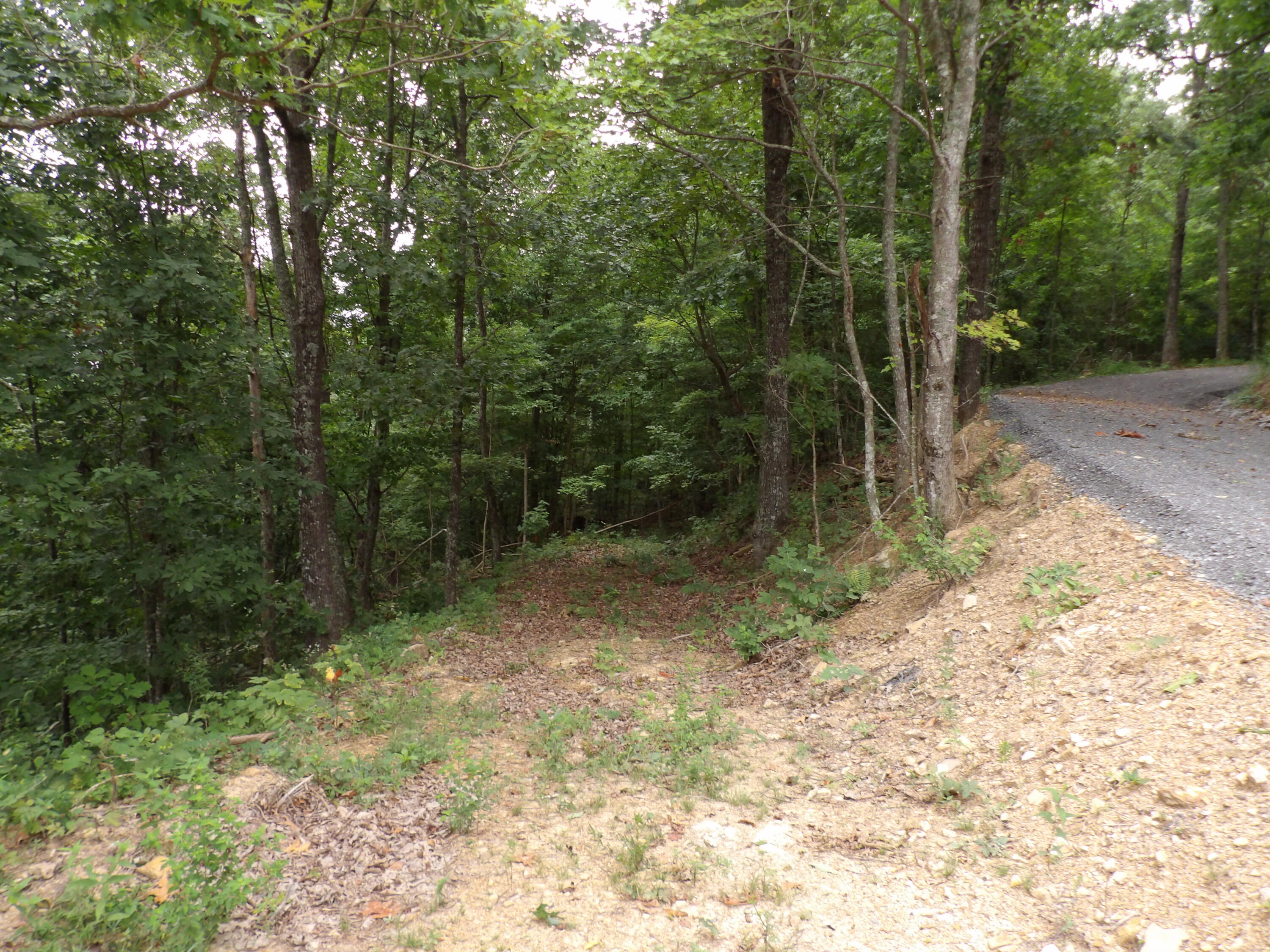 000 Porch Rock Road, Pikeville, Tennessee image 37