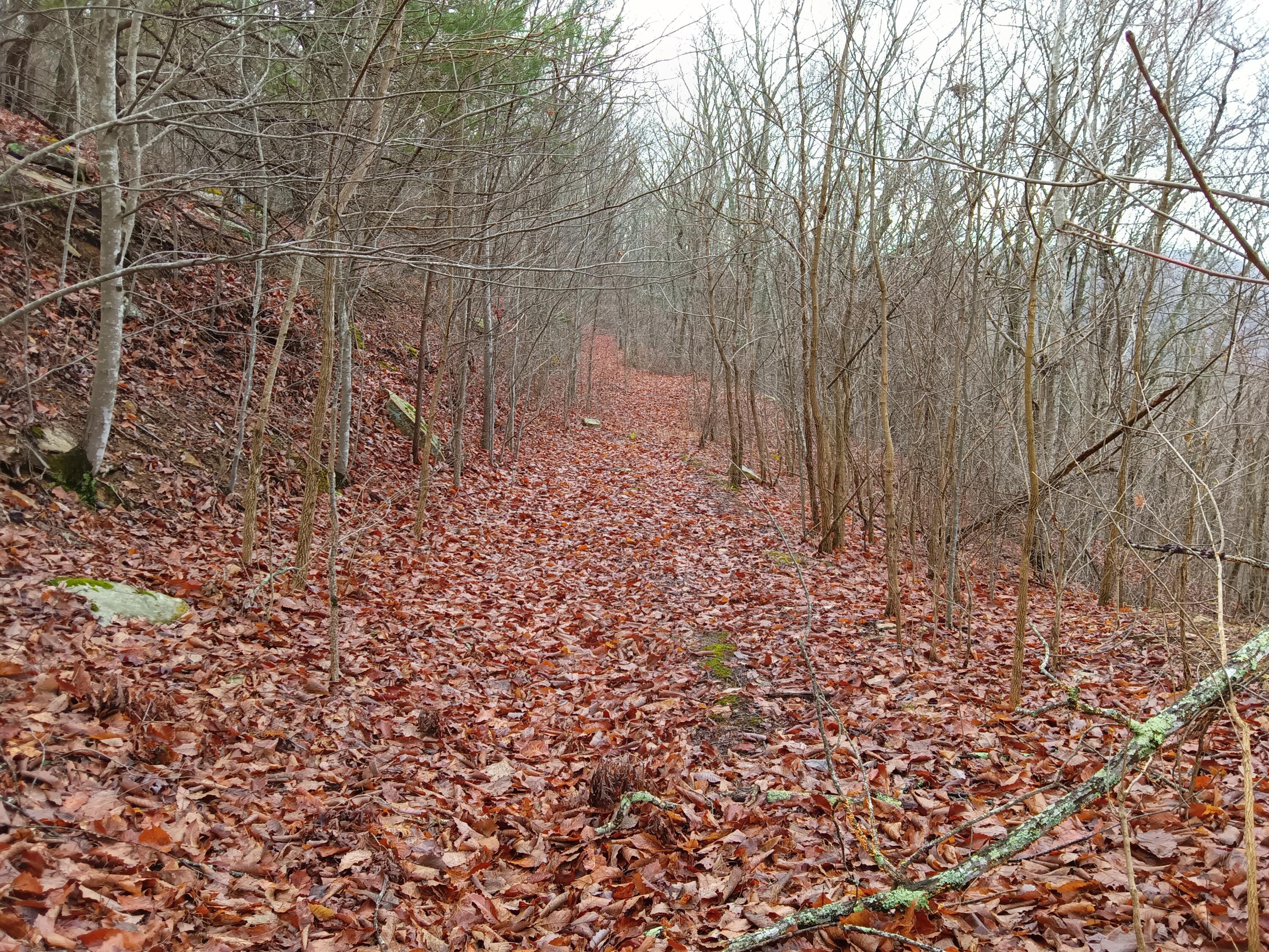 000 Porch Rock Road, Pikeville, Tennessee image 30