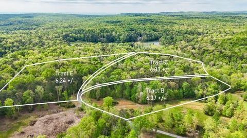 Photo of 8957 Big Bend Road, Signal Mountain, TN 37377 (MLS # 1518681)