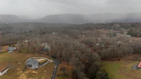 Tiny photo for 0 Scenic Hollow Drive, Dunlap, TN 37327 (MLS # 1525224)