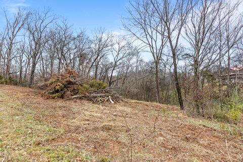 Tiny photo for 0 Scenic Hollow Drive, Dunlap, TN 37327 (MLS # 1525224)