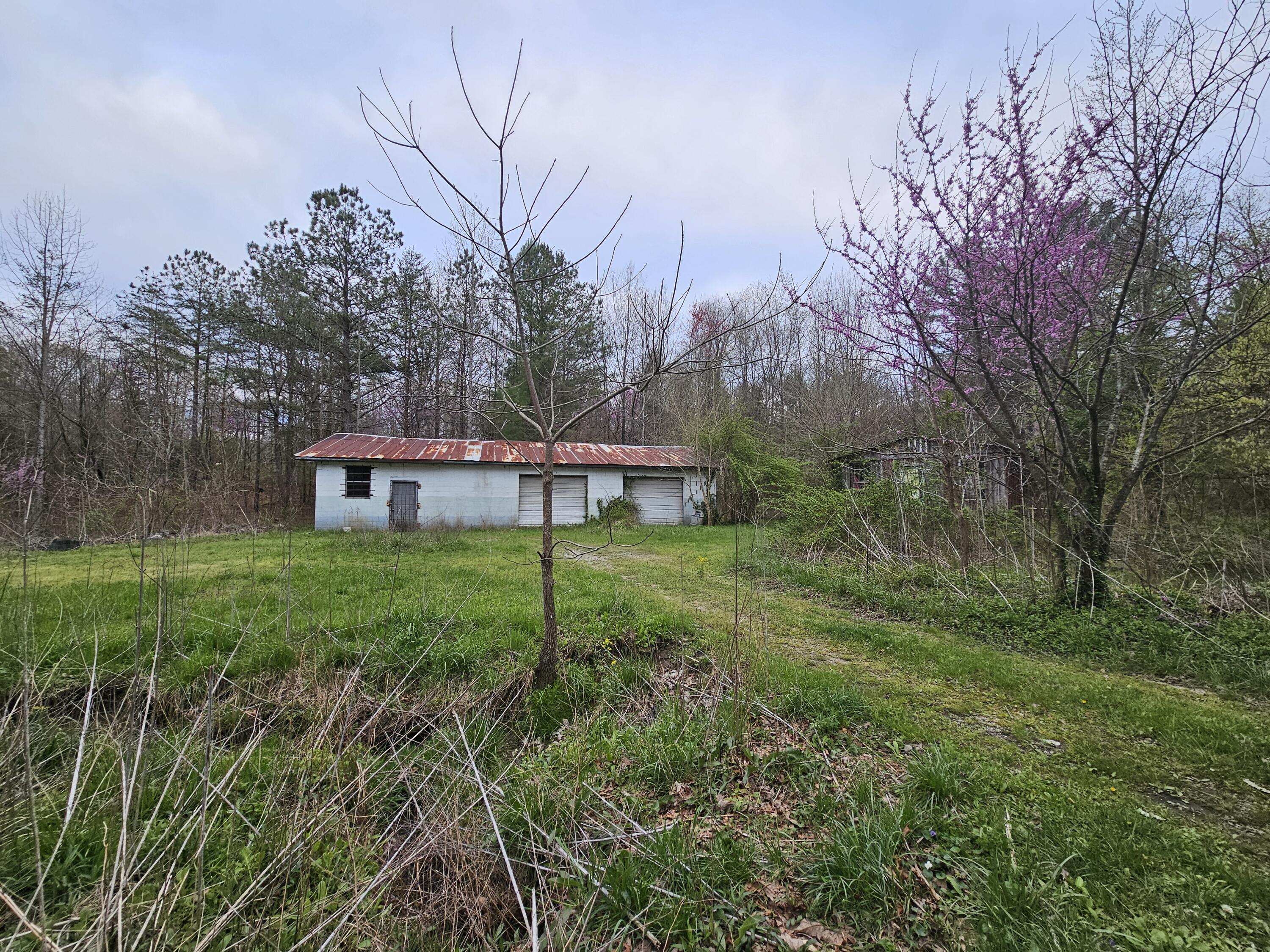 2 Mcnabb Road, Palmer, Tennessee image 3