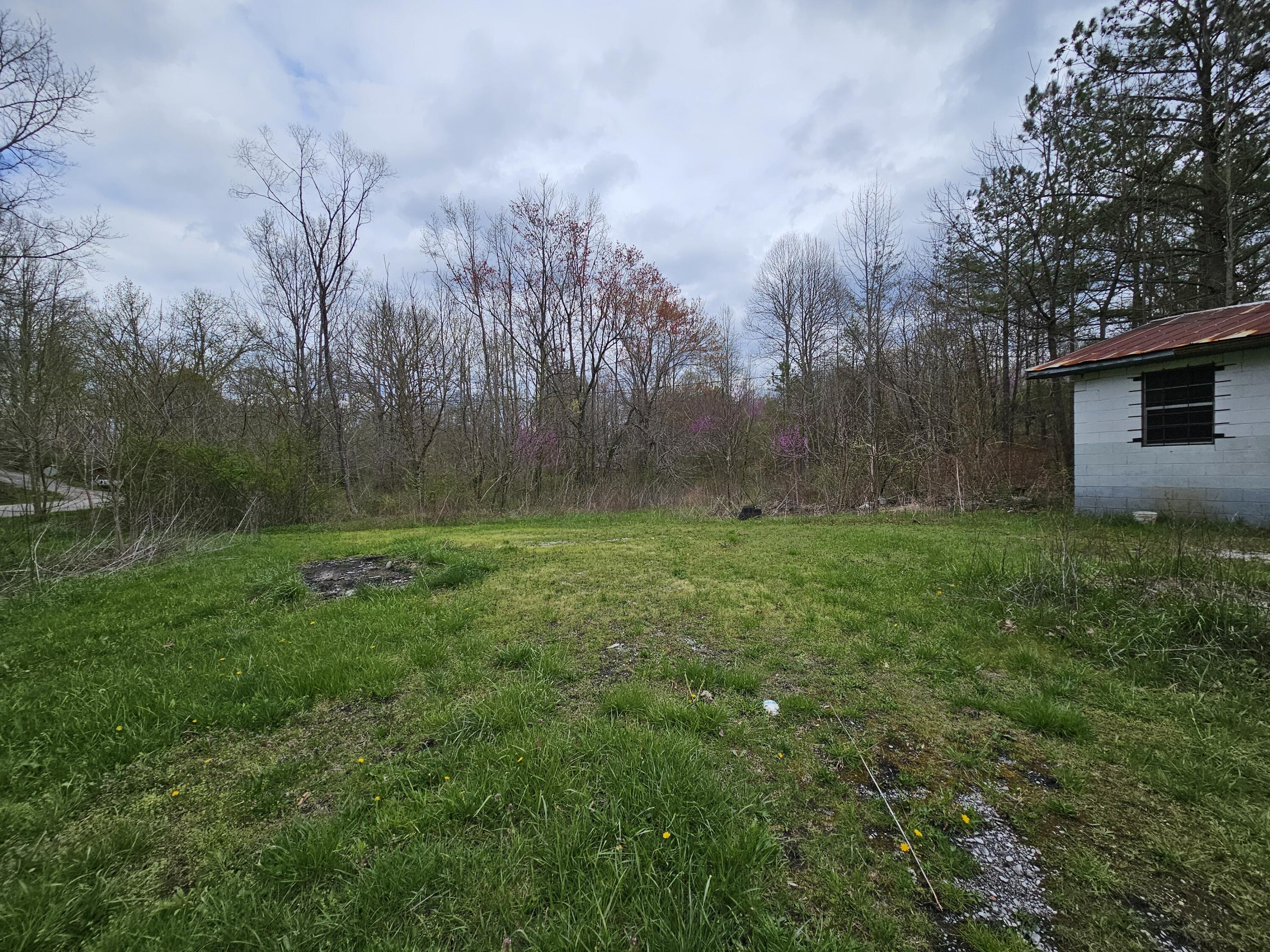 2 Mcnabb Road, Palmer, Tennessee image 4