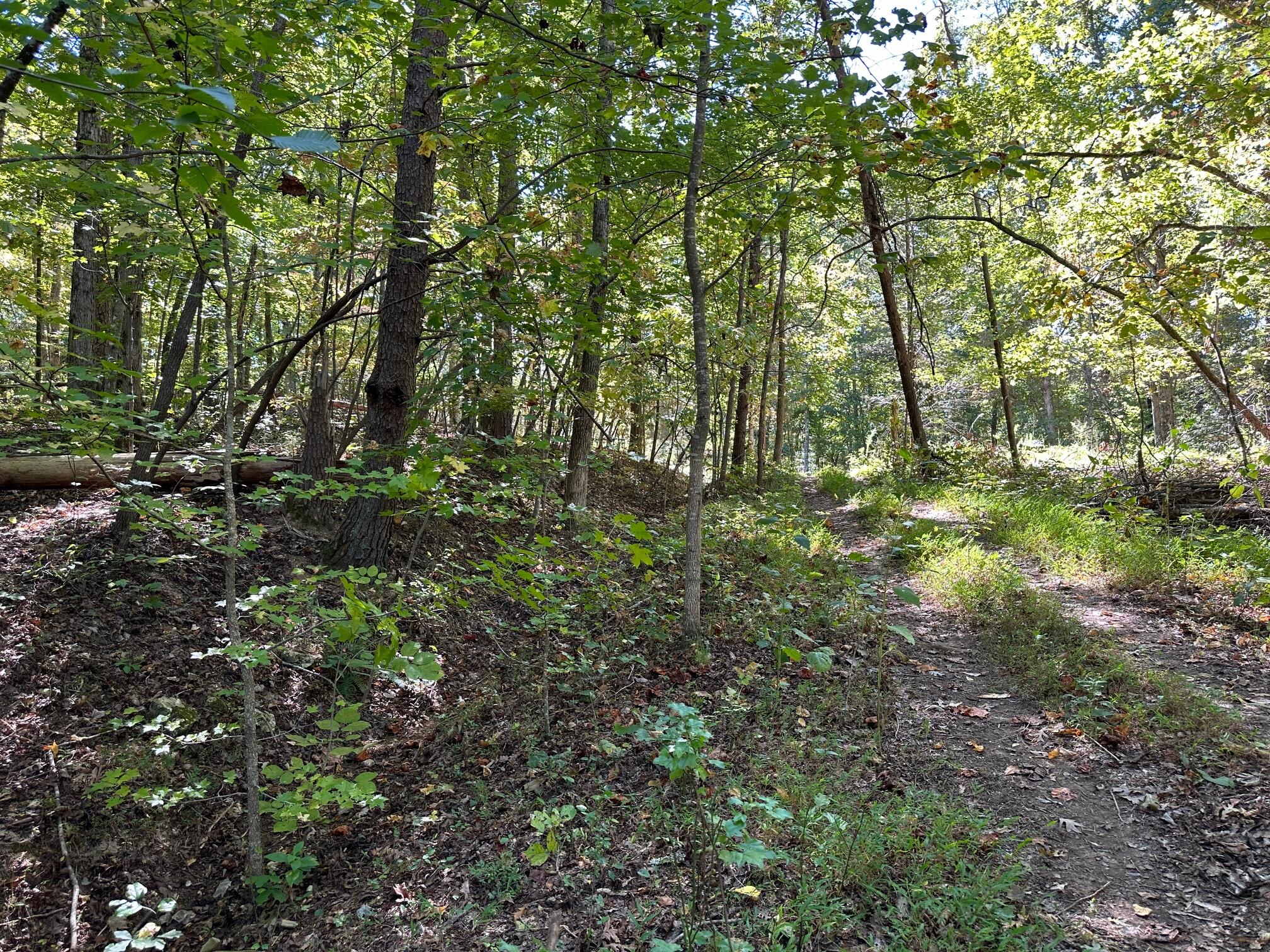 Lot 412 Smith Road, Spring City, Tennessee image 2