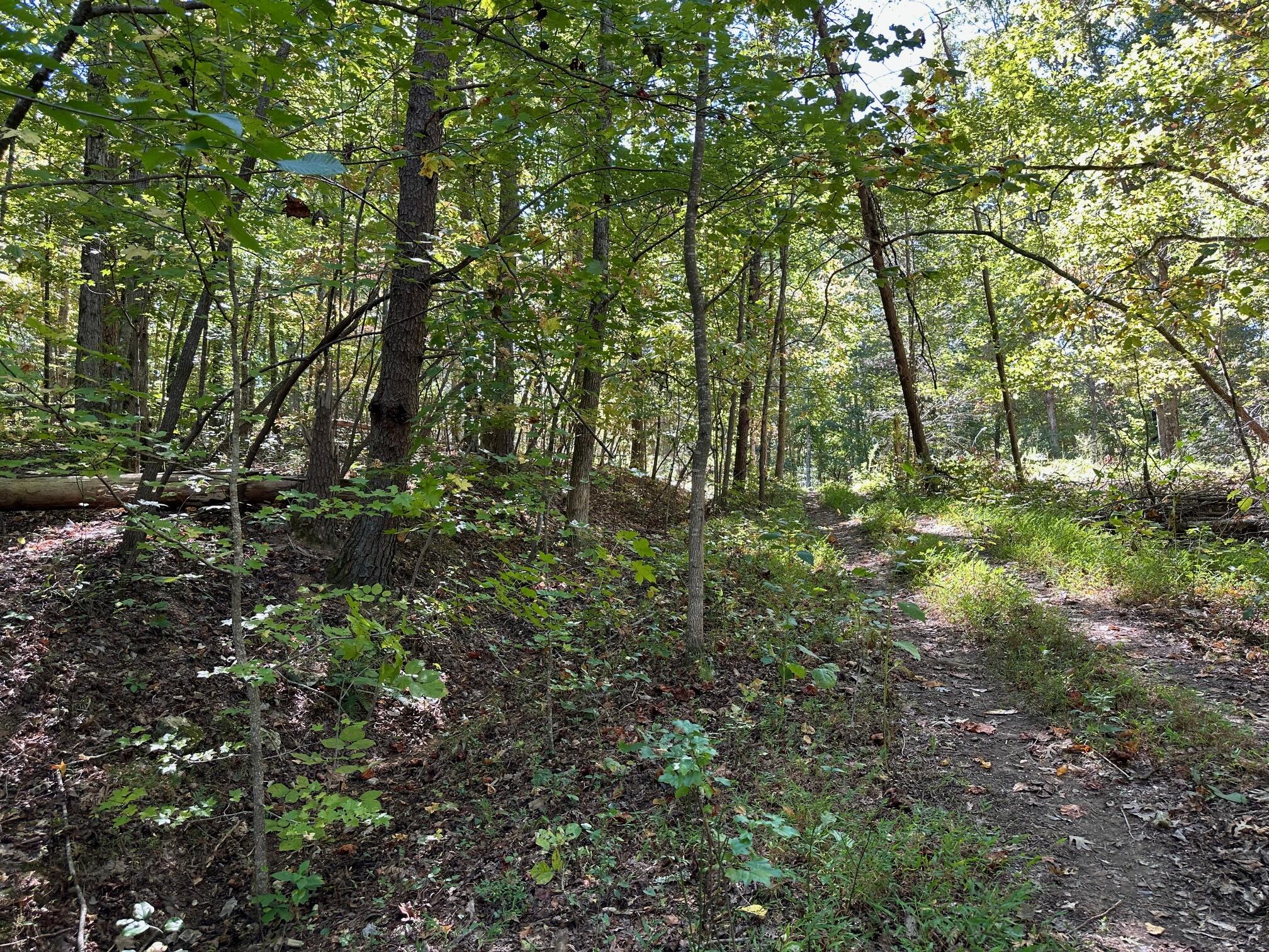 Lot 412 Smith Road, Spring City, Tennessee image 1
