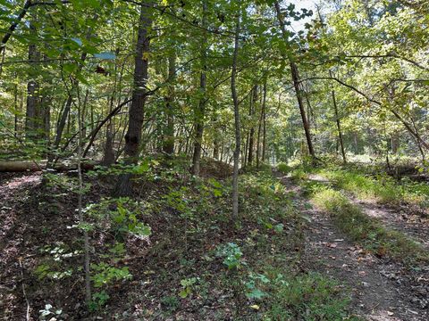 Photo of Lot 412 Smith Road, Spring City, TN 37381 (MLS # 1501854)