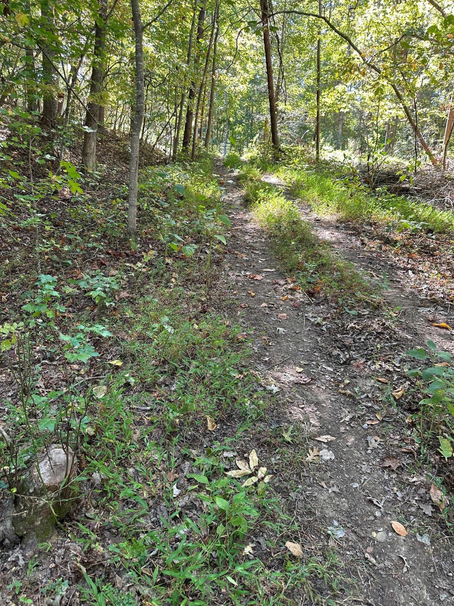 Lot 412 Smith Road, Spring City, Tennessee image 4