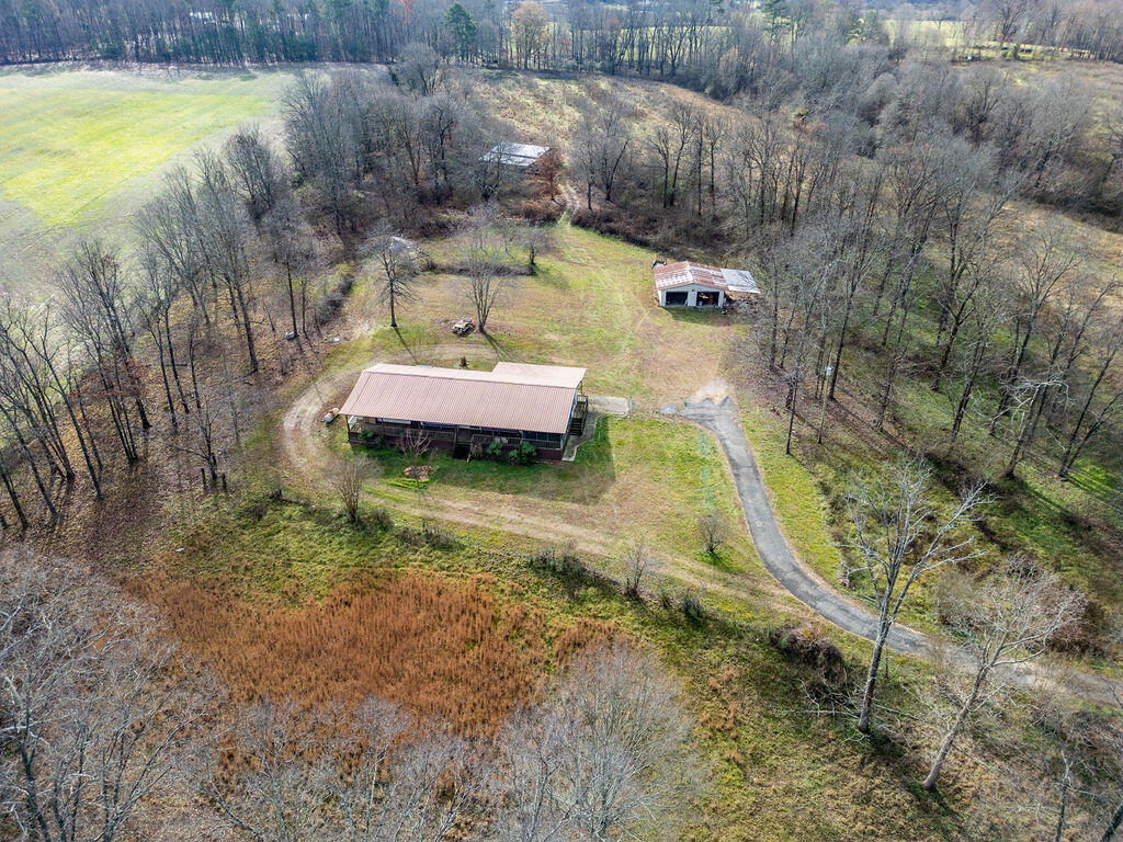 619 County Road 786, Flat Rock, Alabama image 22