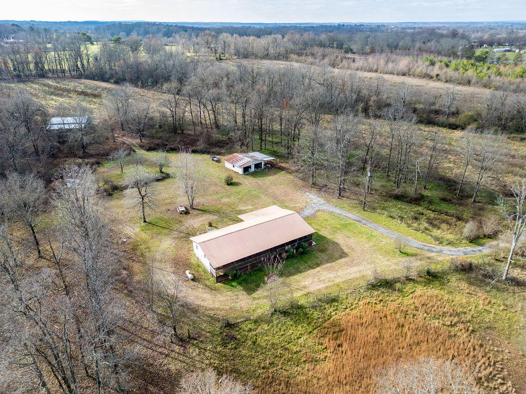 619 County Road 786, Flat Rock, Alabama image 23