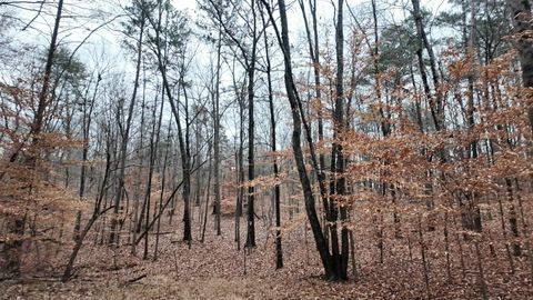 Tiny photo for 7943 Harper Road, Hixson, TN 37343 (MLS # 1529355)