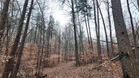 Tiny photo for 7943 Harper Road, Hixson, TN 37343 (MLS # 1529355)