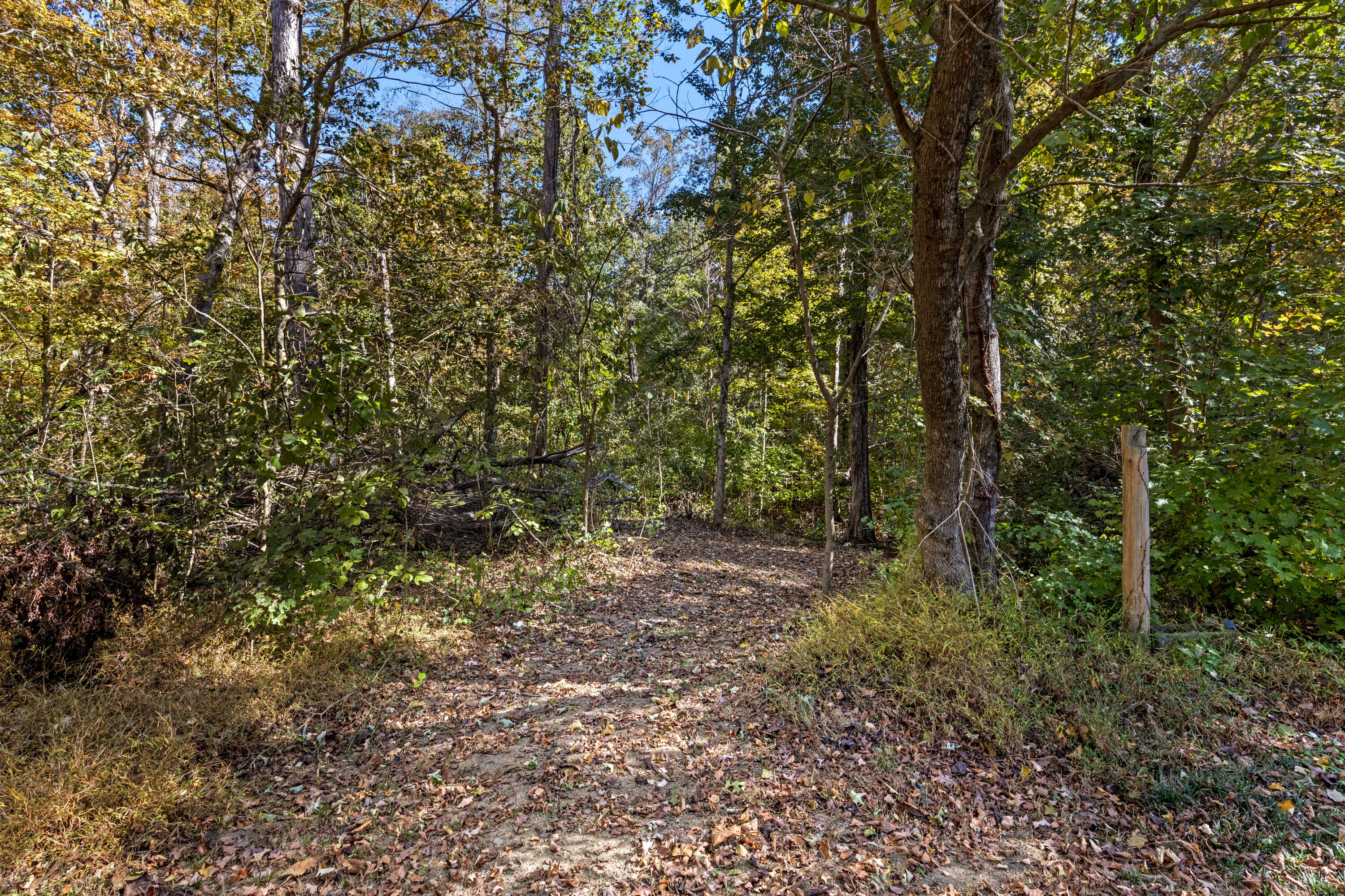 459 Wen Dell Lane SE