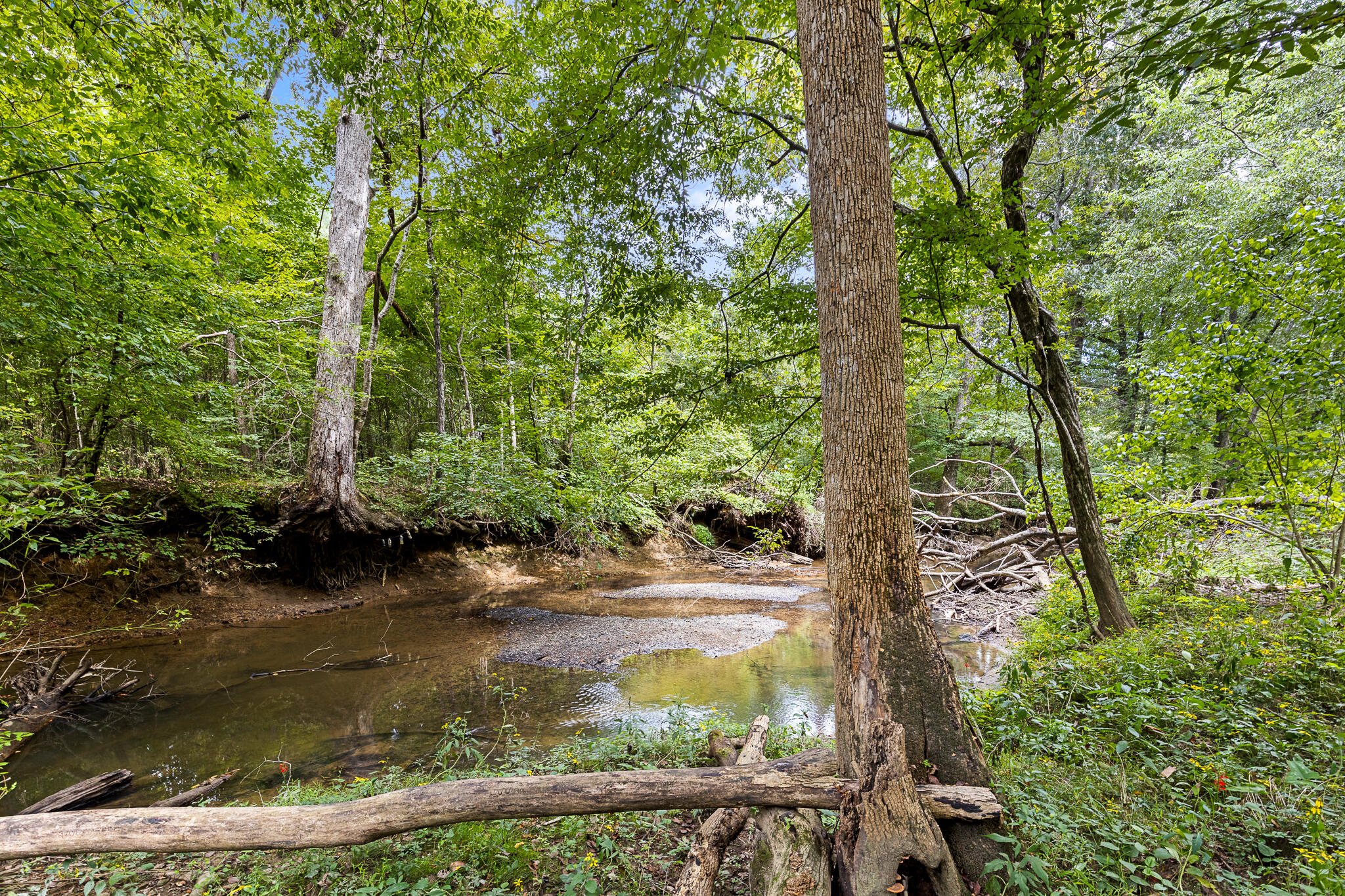 459 Wen Dell Lane SE