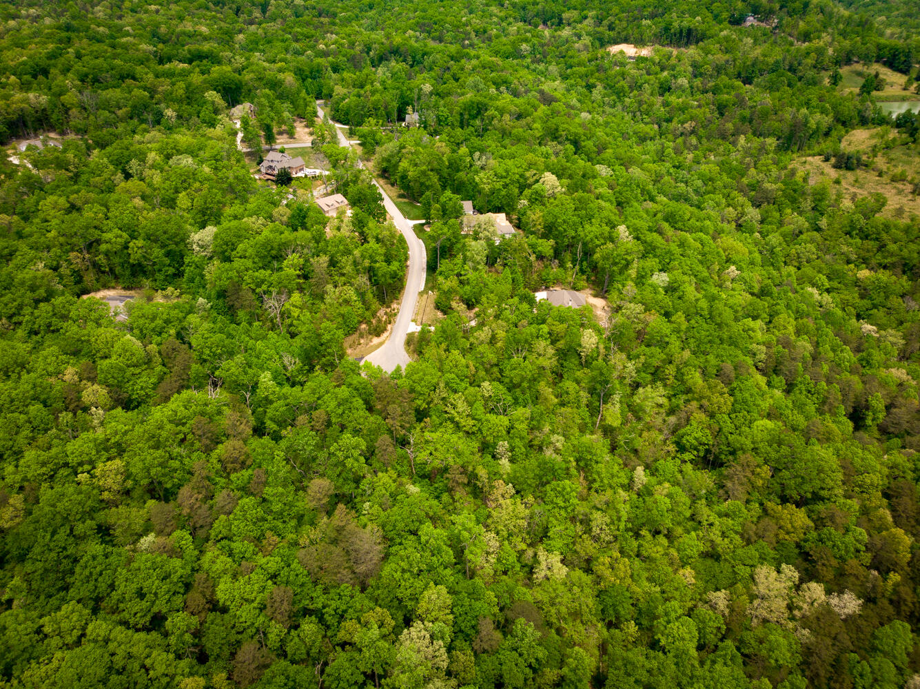 Rock Creek Trail #16  17, Signal Mountain, Tennessee image 20