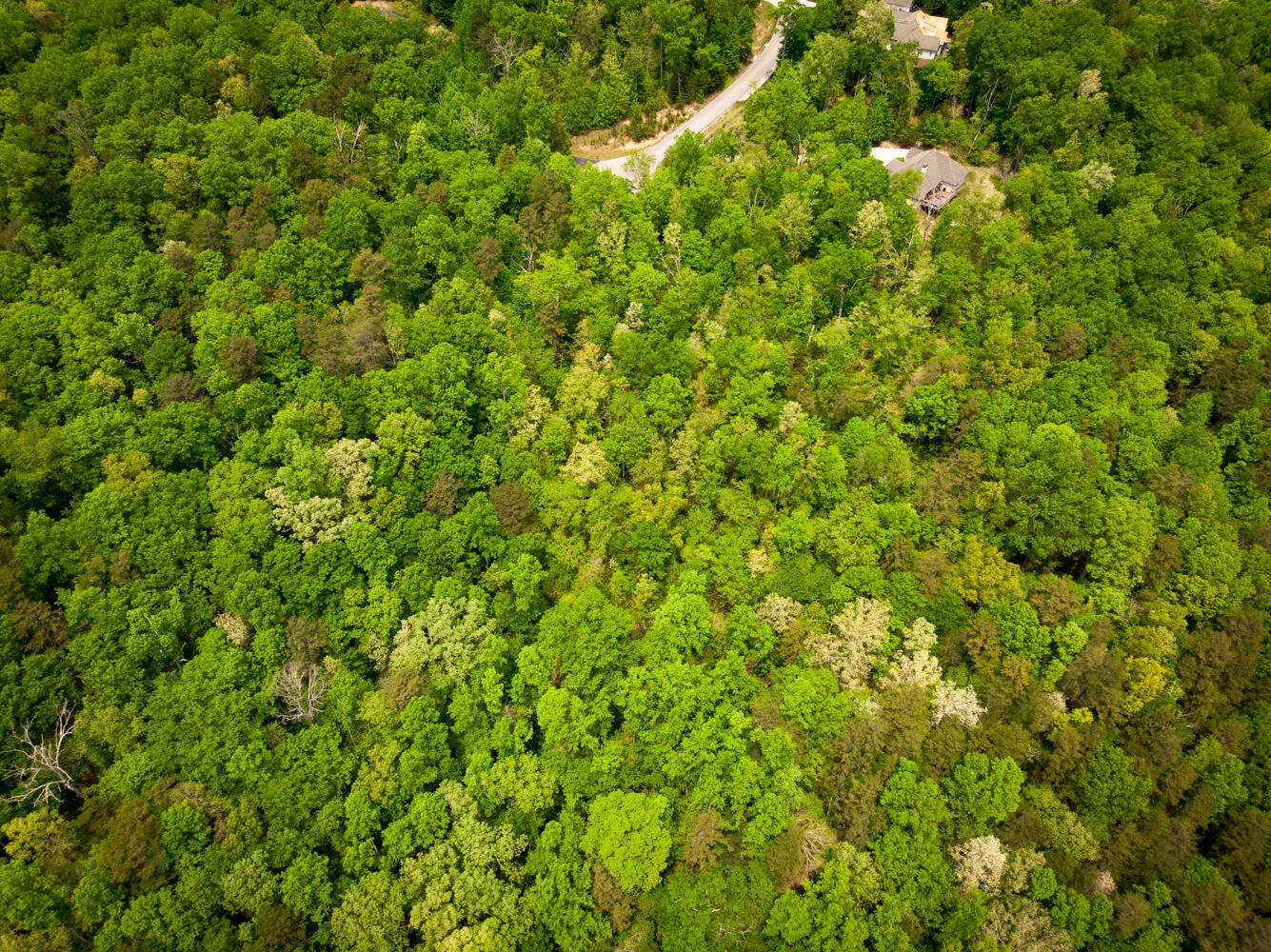 Rock Creek Trail #16  17, Signal Mountain, Tennessee image 19