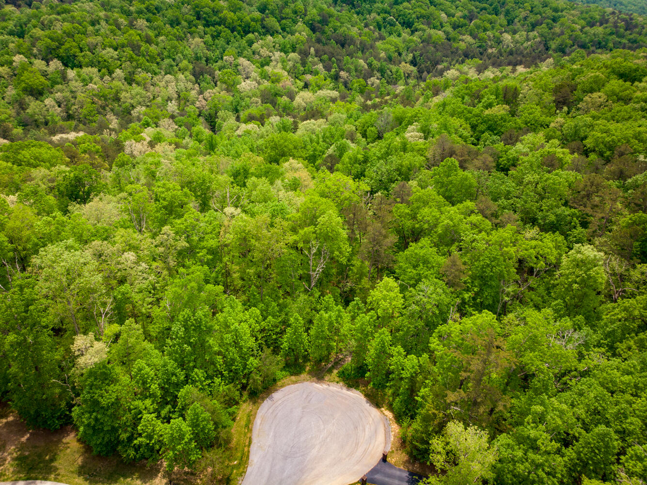 Rock Creek Trail #16  17, Signal Mountain, Tennessee image 1