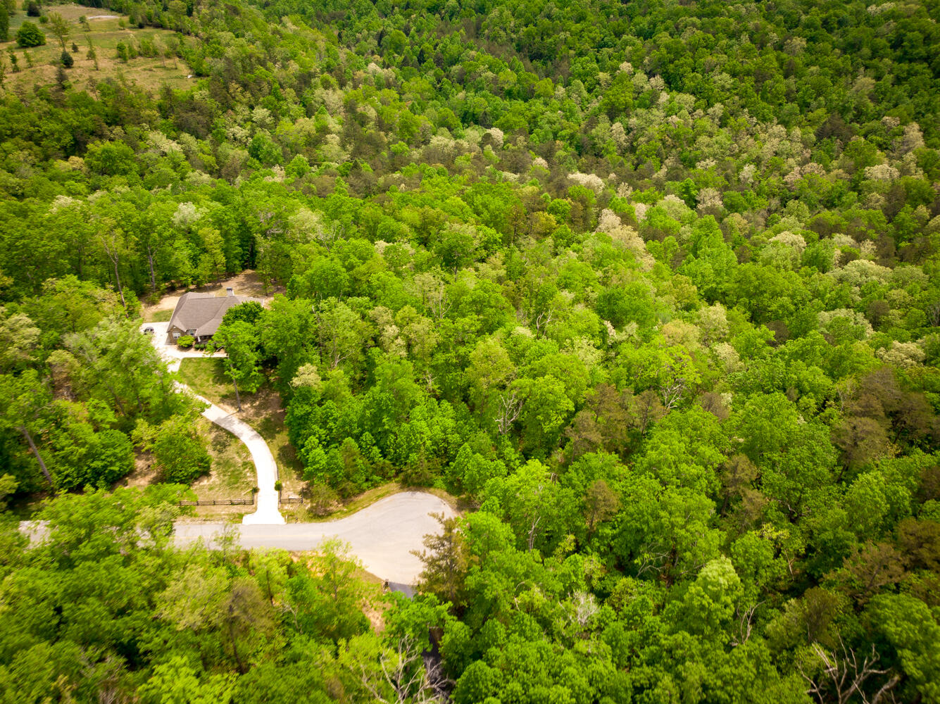 Rock Creek Trail #16  17, Signal Mountain, Tennessee image 9
