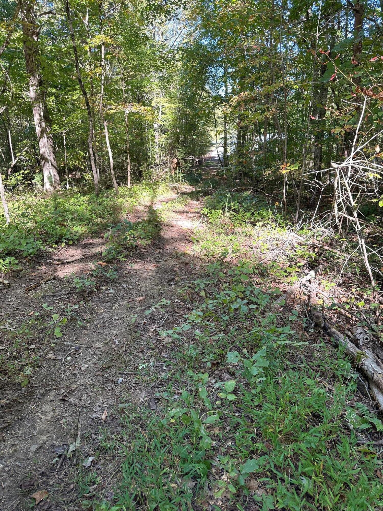 Lot 354 Diana Drive, Spring City, Tennessee image 3