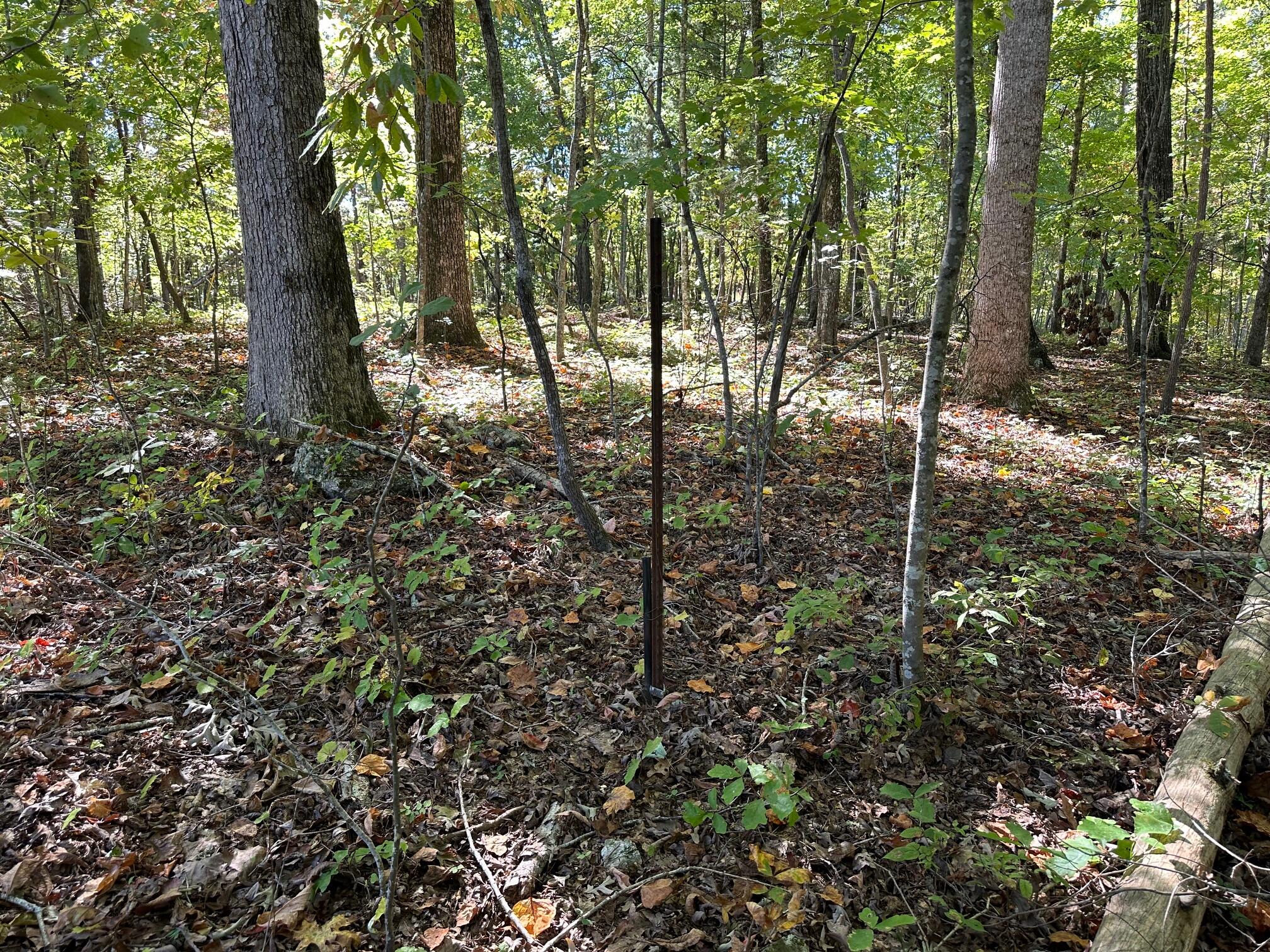 Lot 354 Diana Drive, Spring City, Tennessee image 4