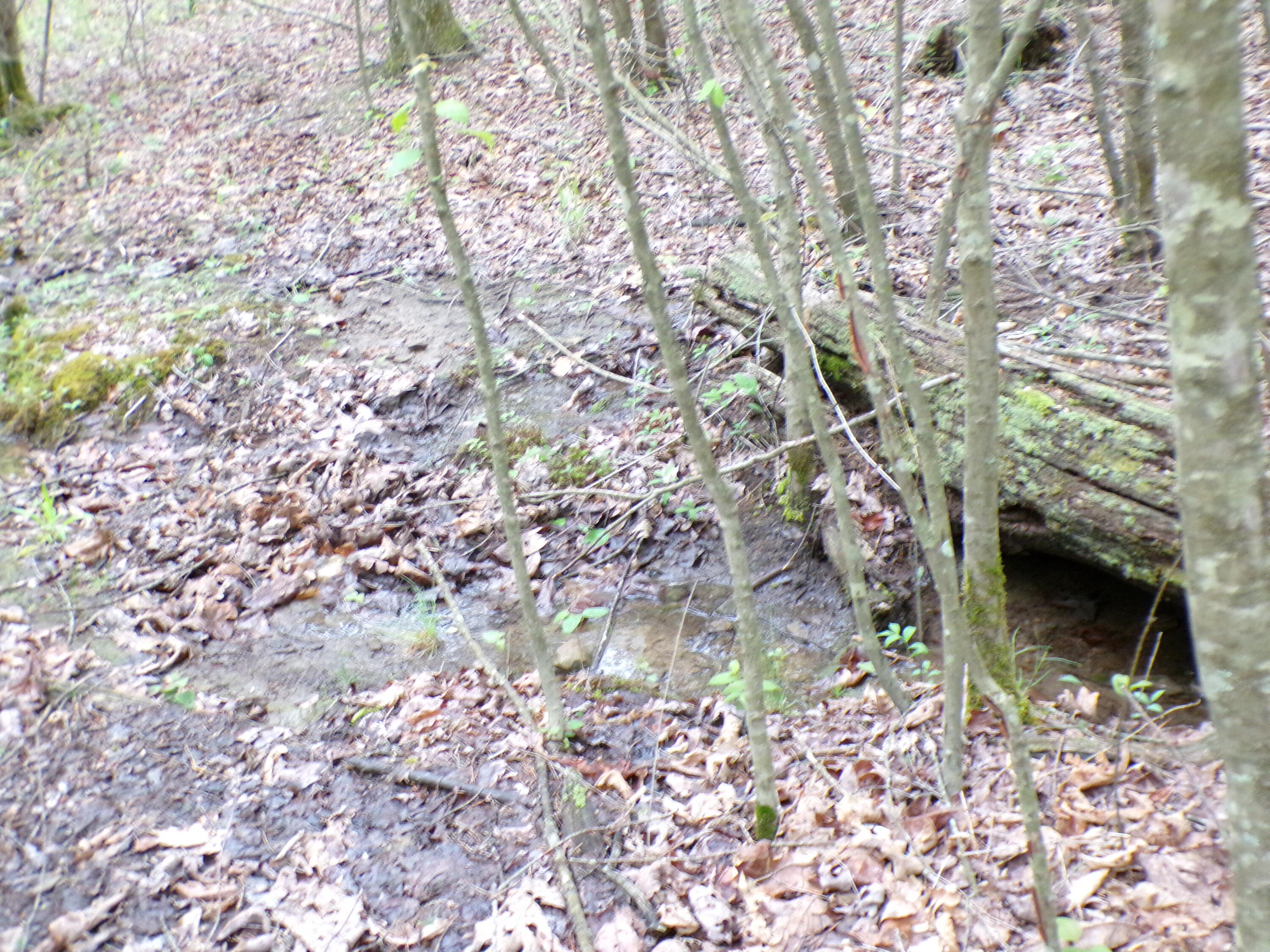 Goforth Road #10, Spencer, Tennessee image 12