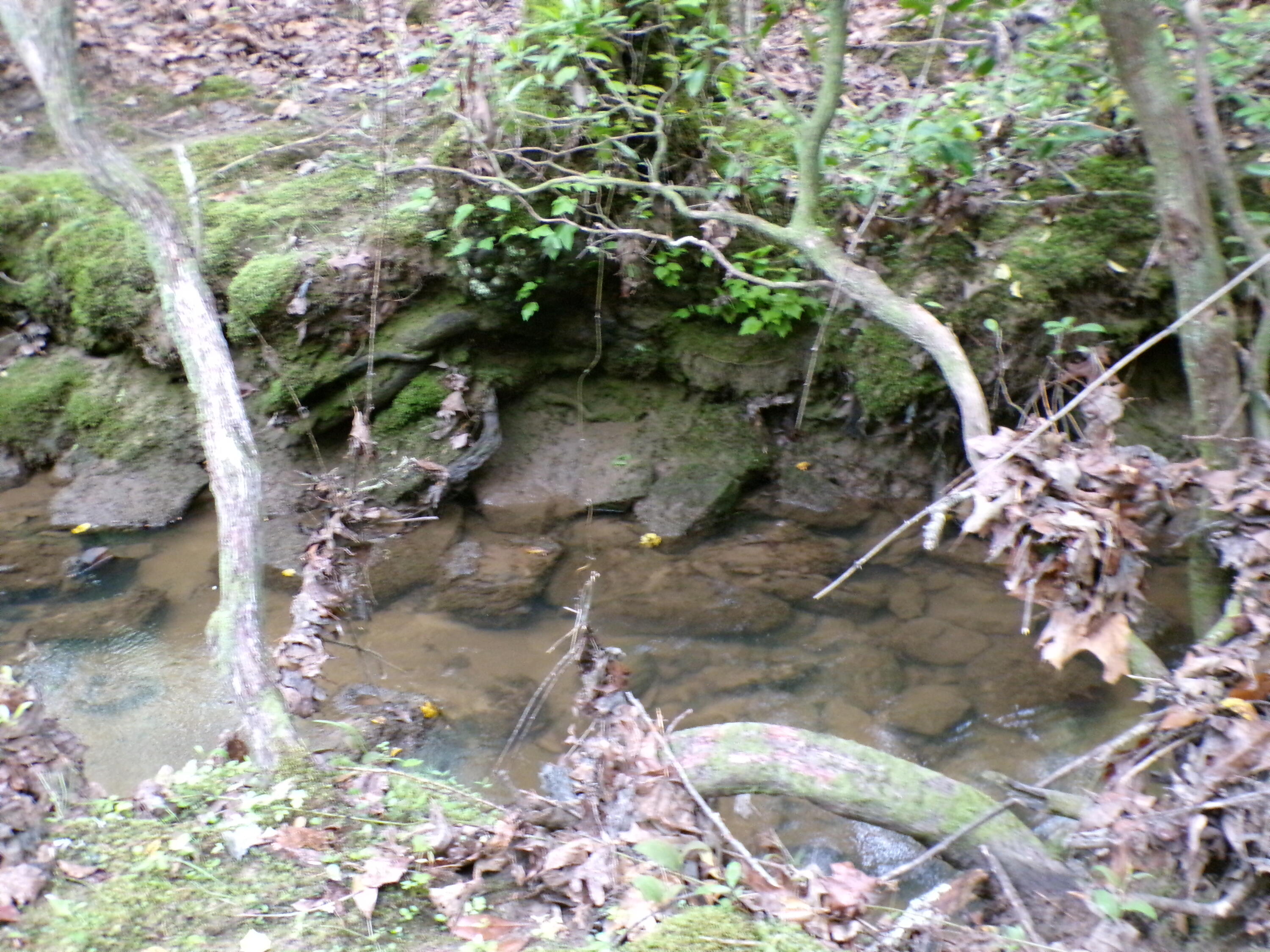 Goforth Road #10, Spencer, Tennessee image 28