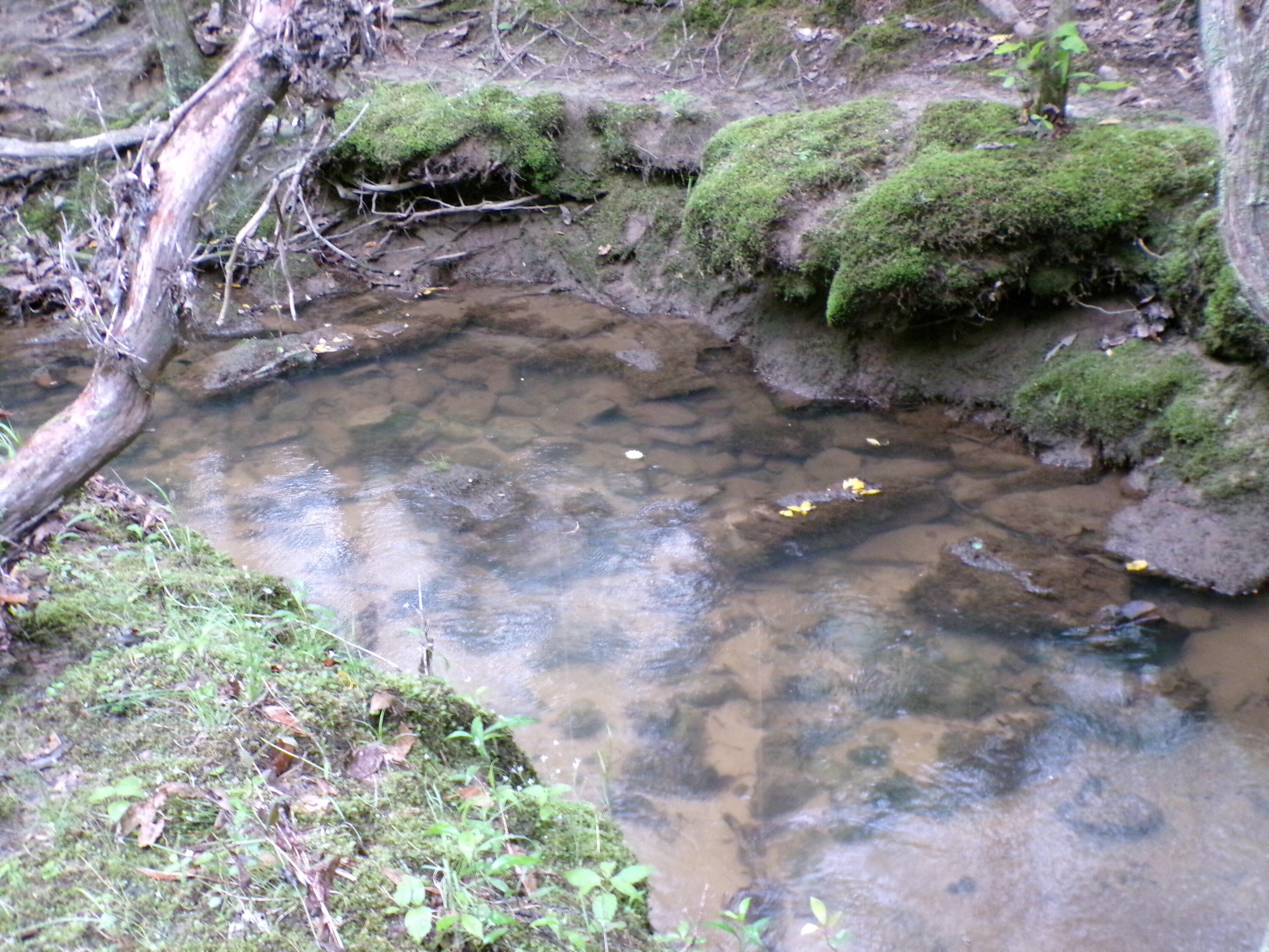Goforth Road #10, Spencer, Tennessee image 27