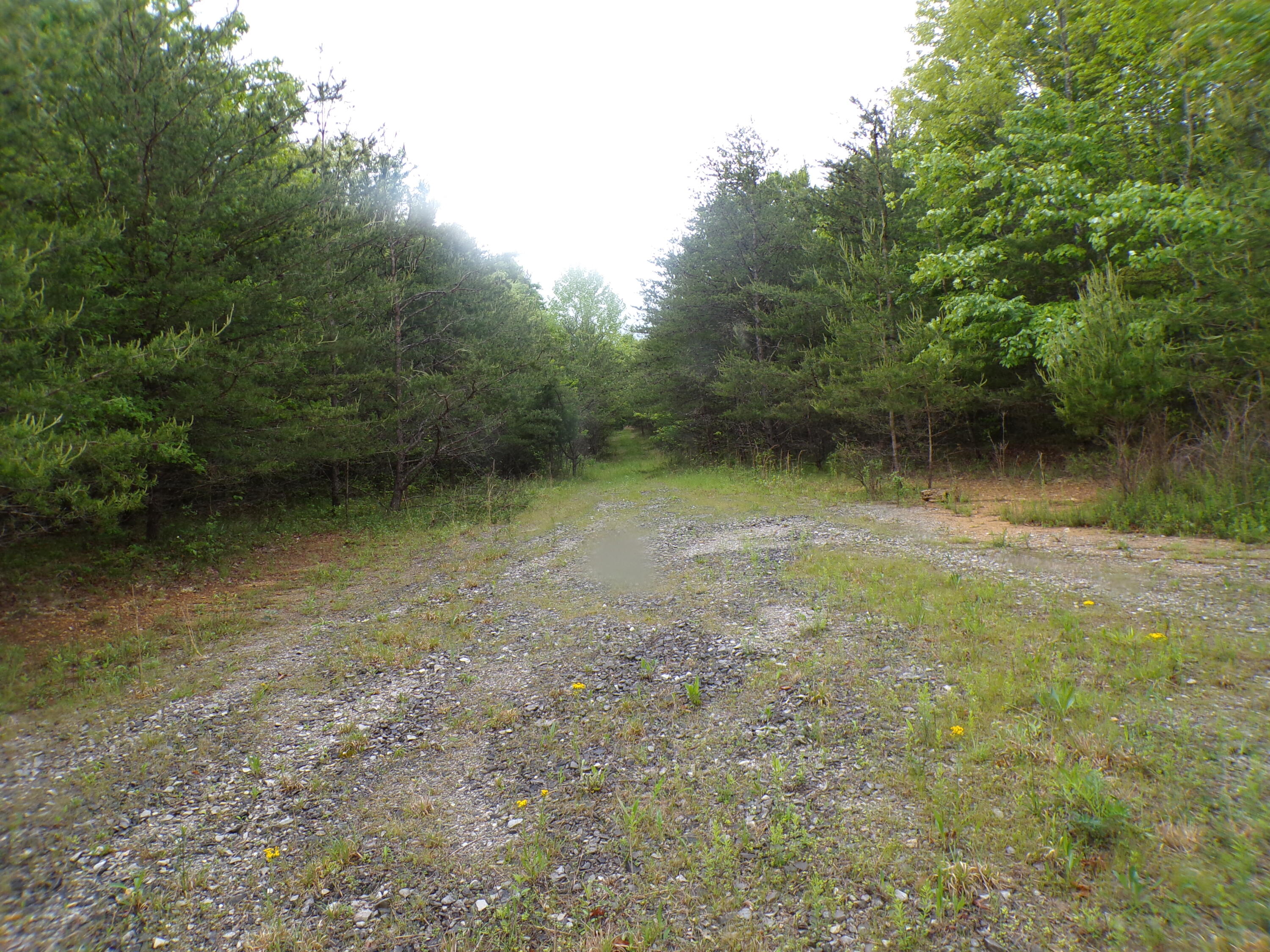 Goforth Road #10, Spencer, Tennessee image 50