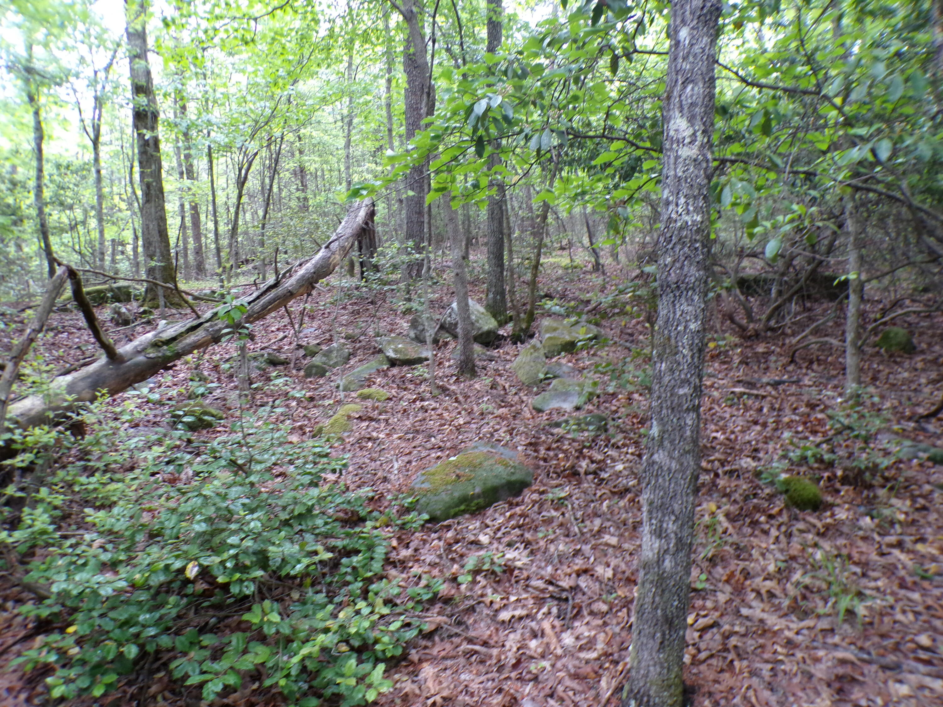 Goforth Road #10, Spencer, Tennessee image 32